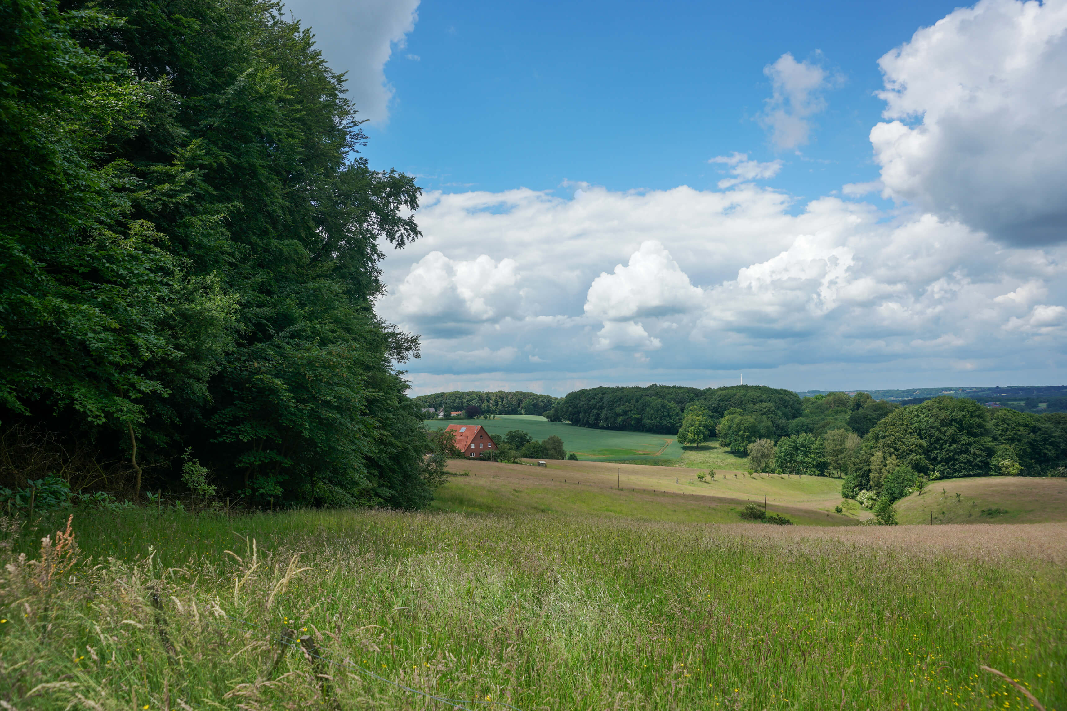 DSC04703.jpg
