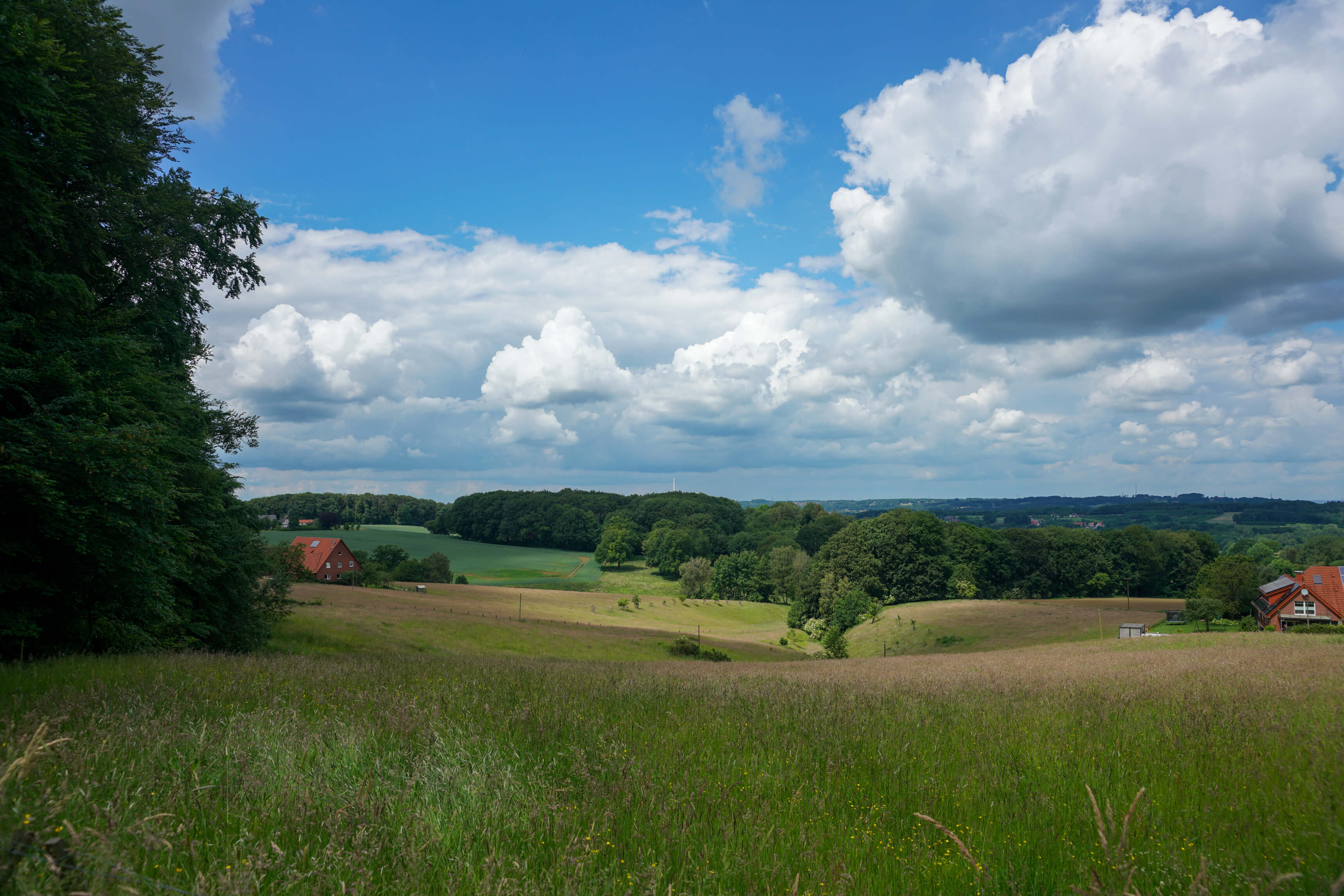 DSC04704.jpg