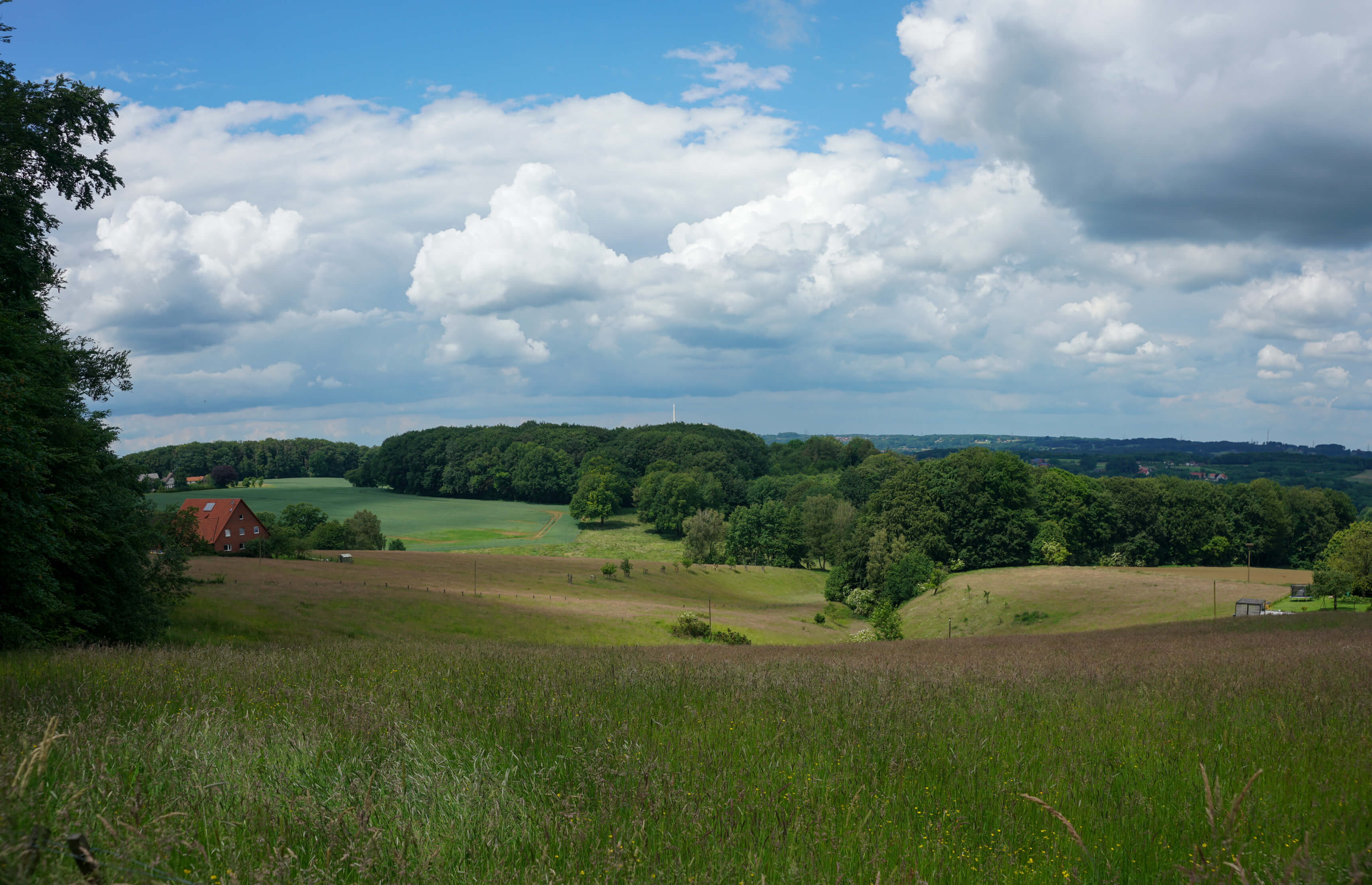 DSC04707-Pano.jpg