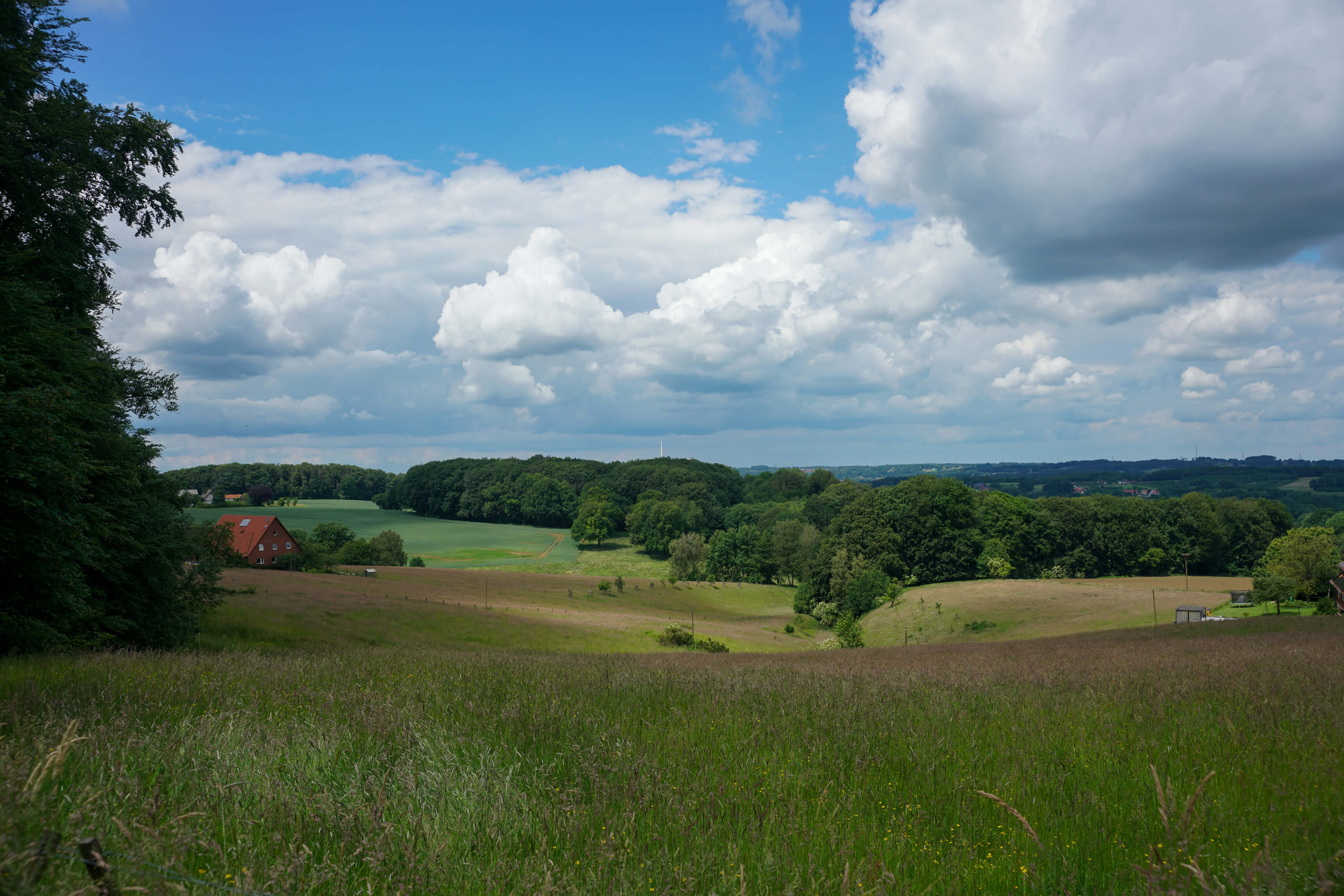 DSC04708.jpg
