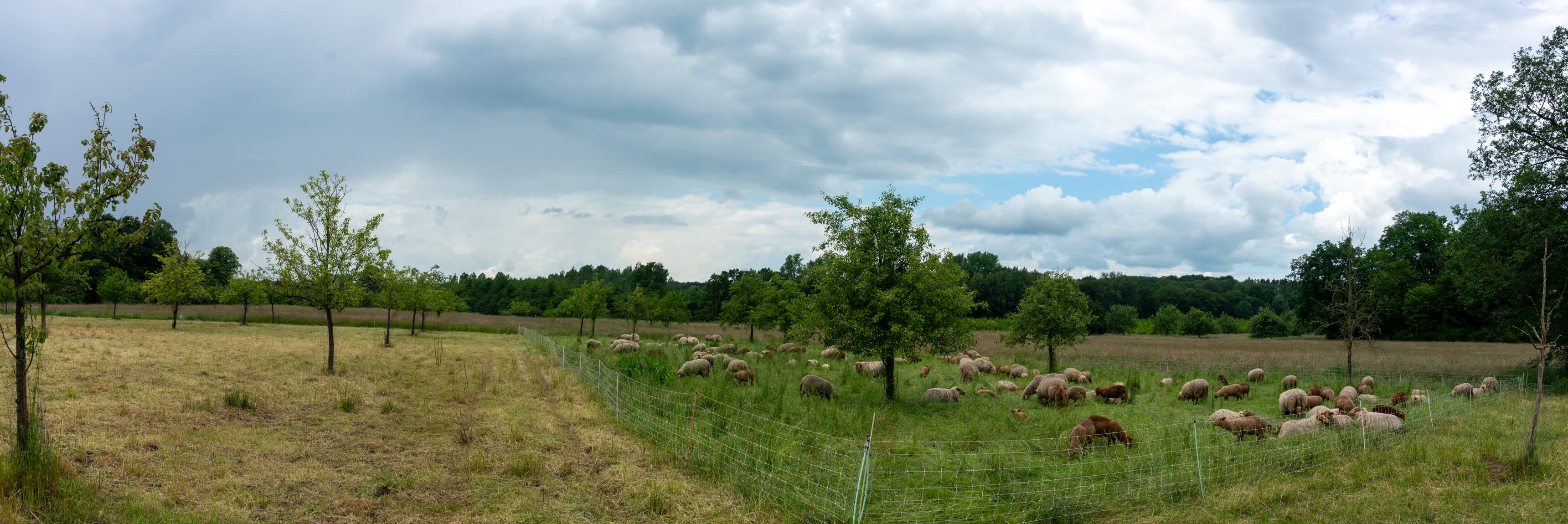 DSC04909-Pano.jpg