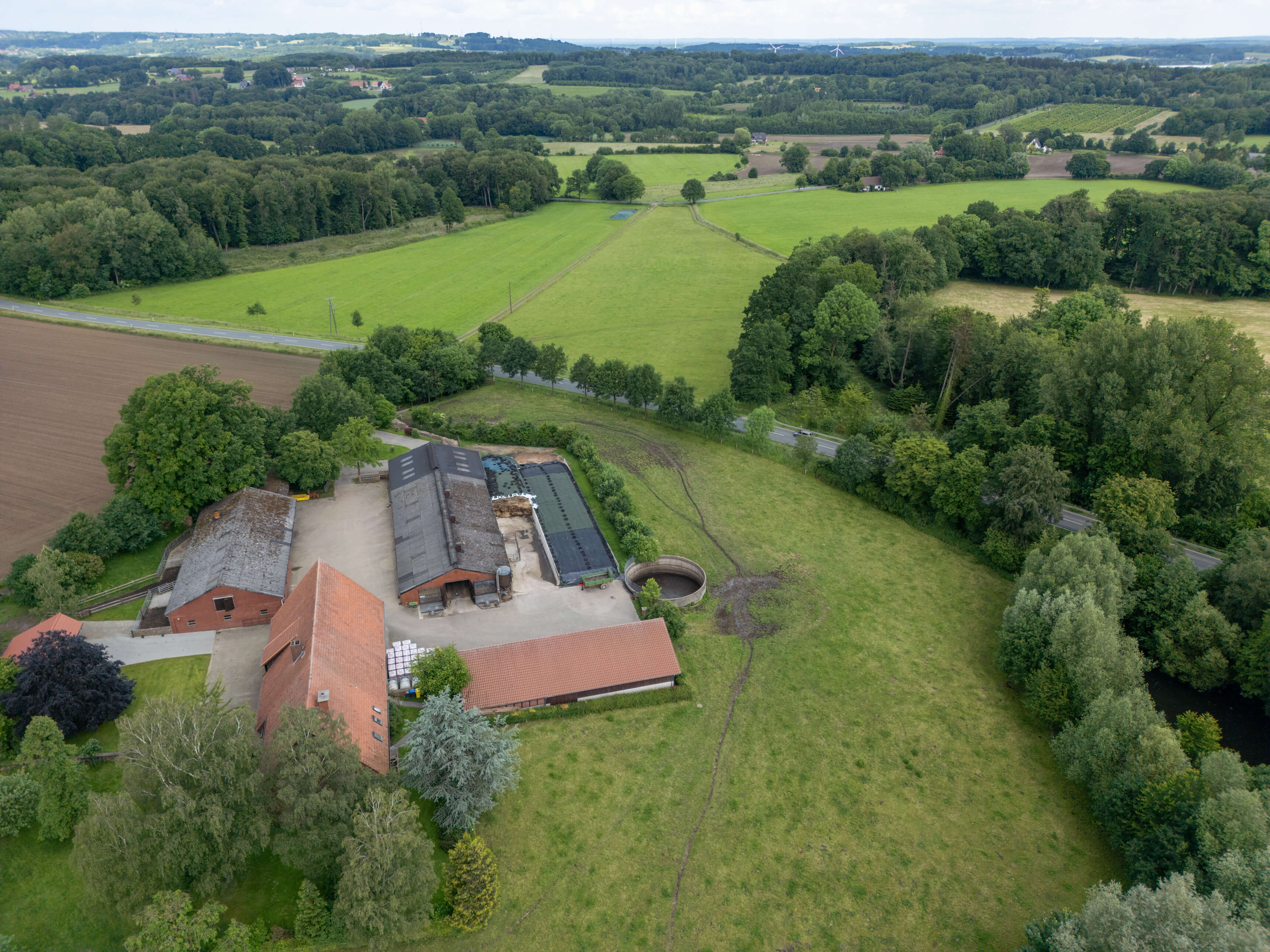 DJI_0004.jpg