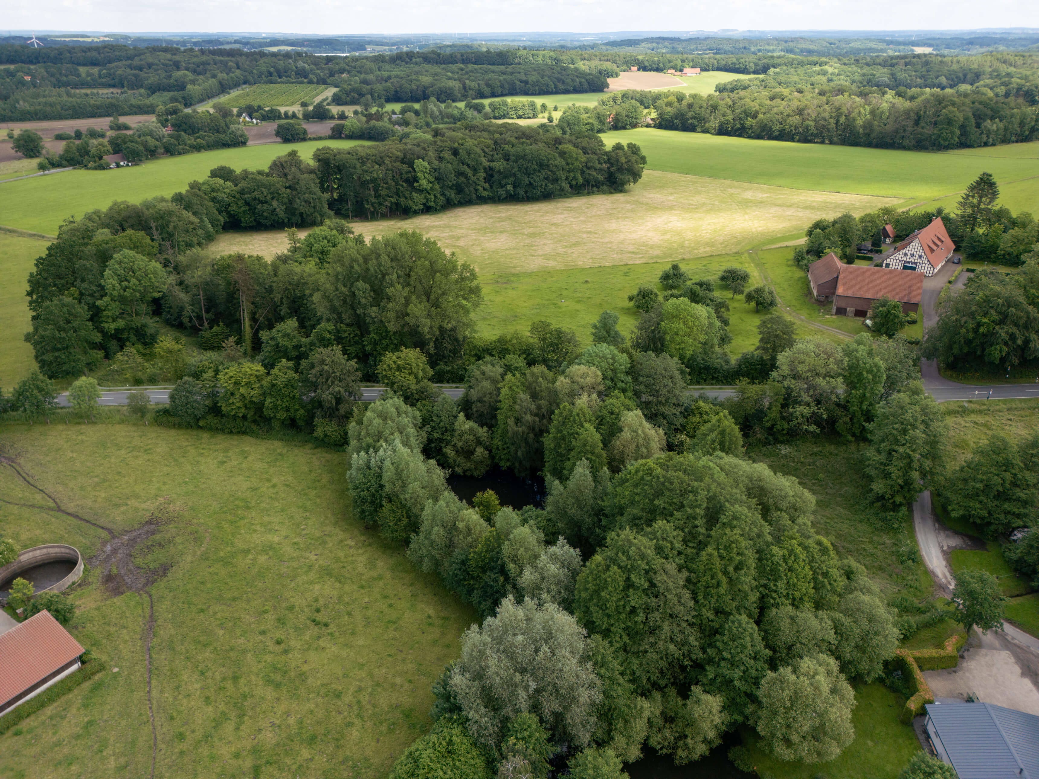 DJI_0005.jpg