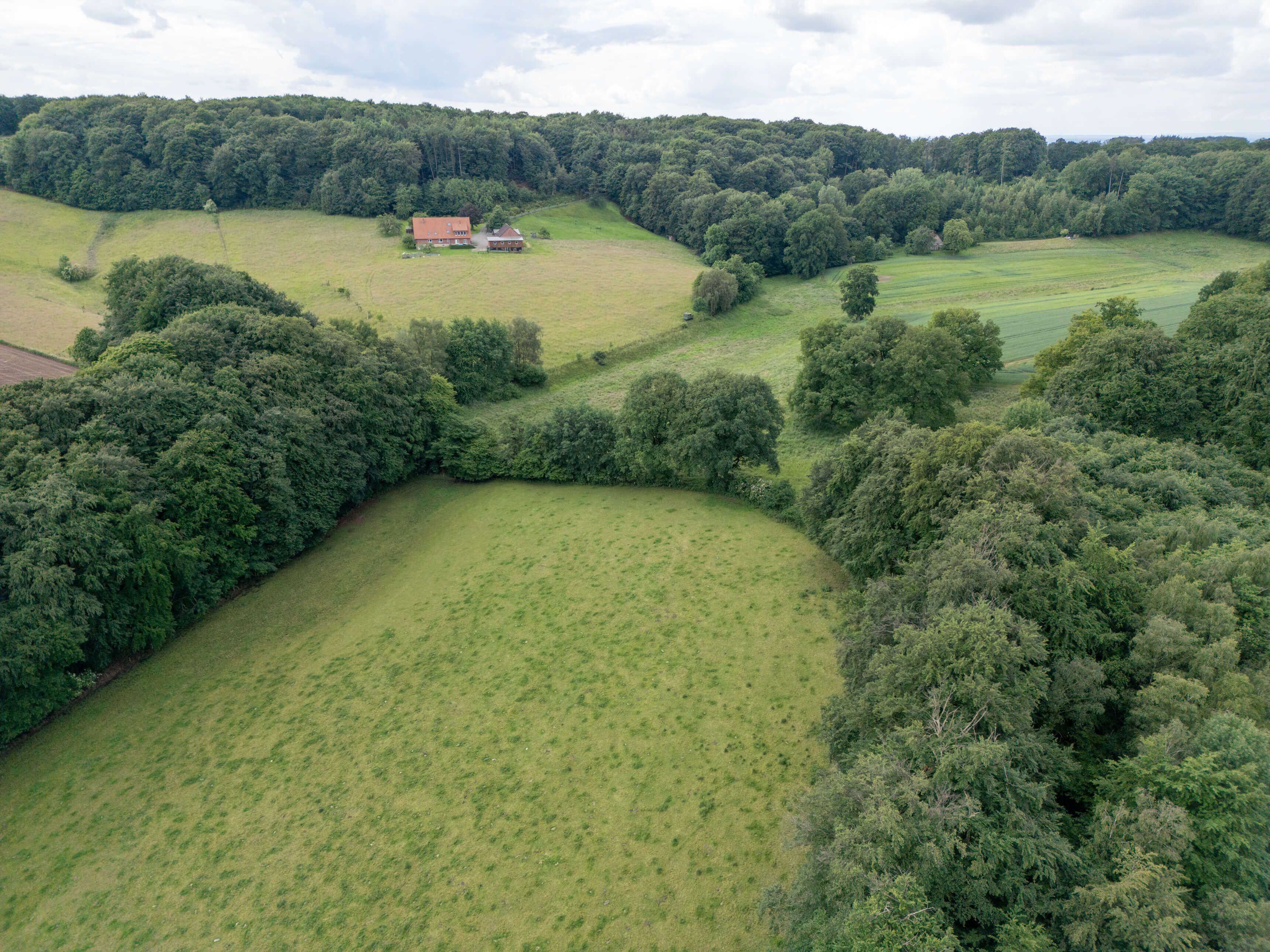DJI_0006.jpg