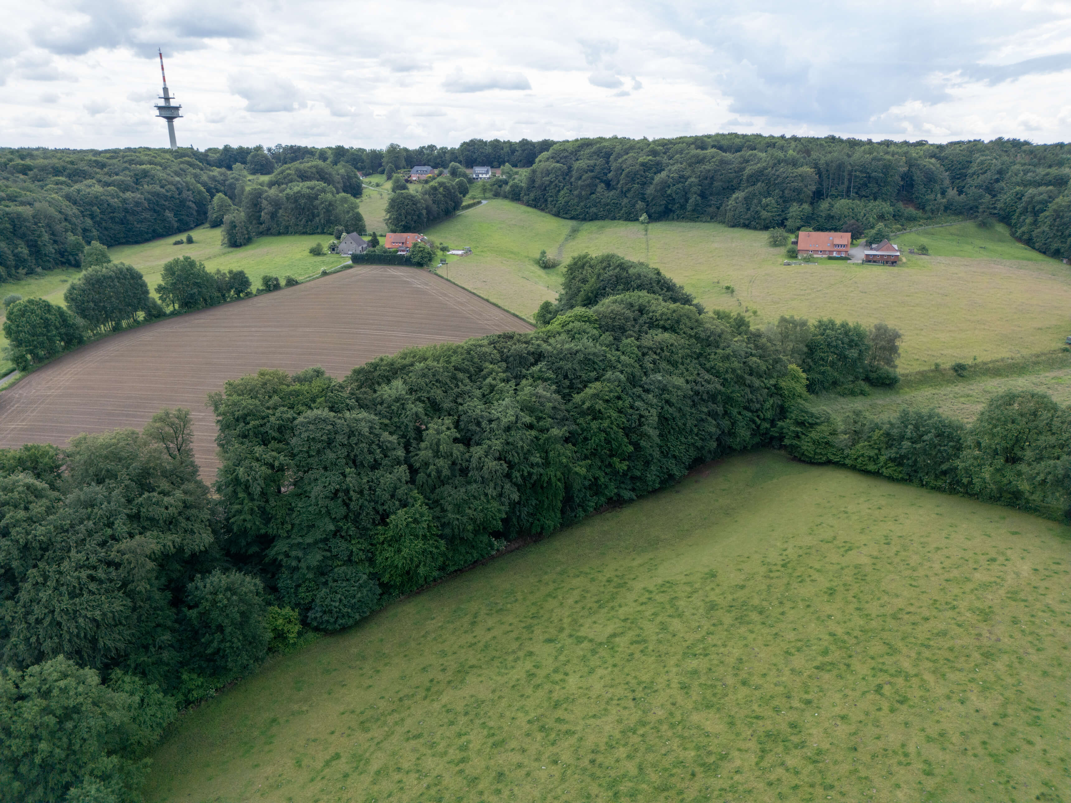 DJI_0007.jpg