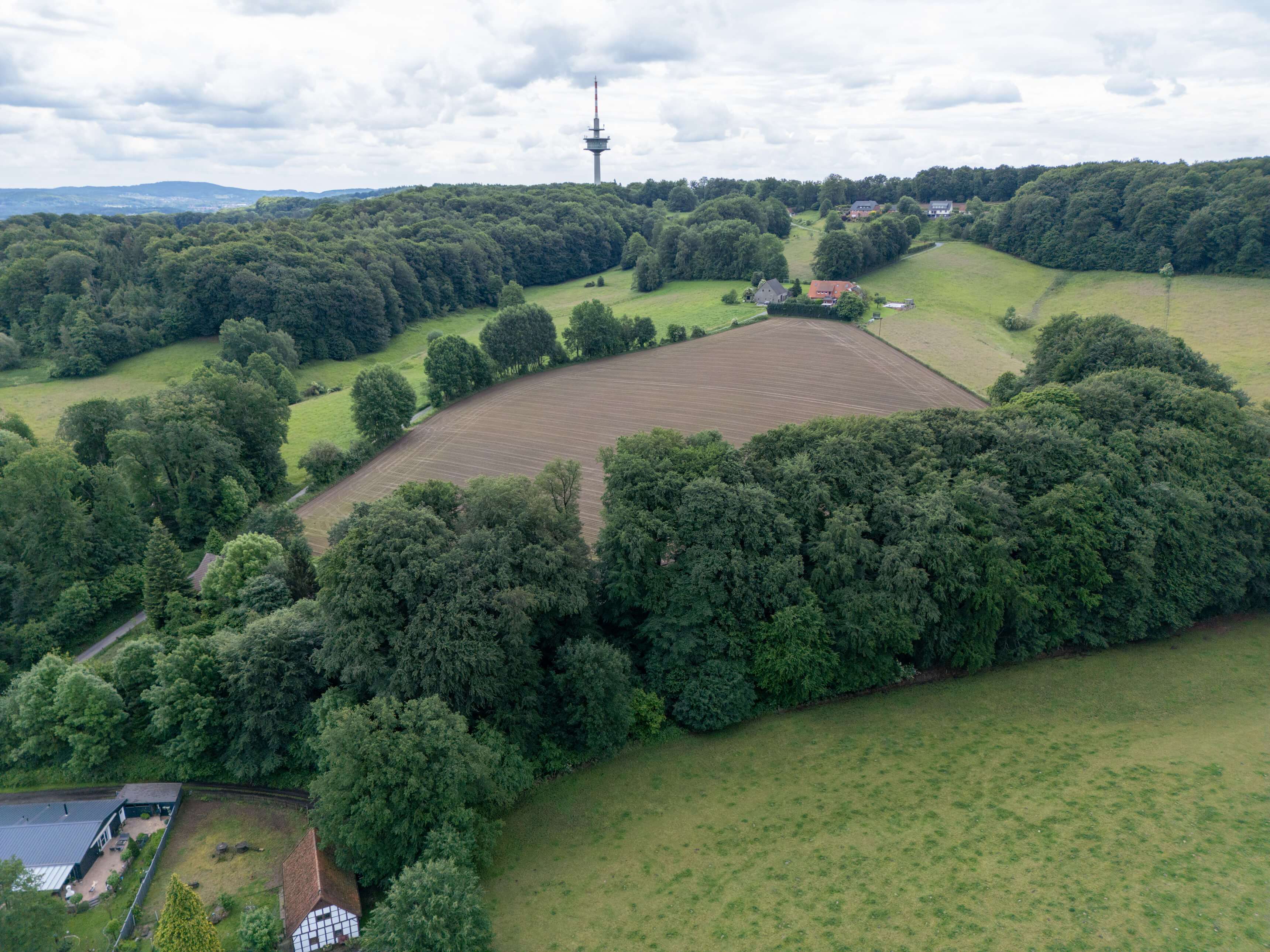DJI_0008.jpg