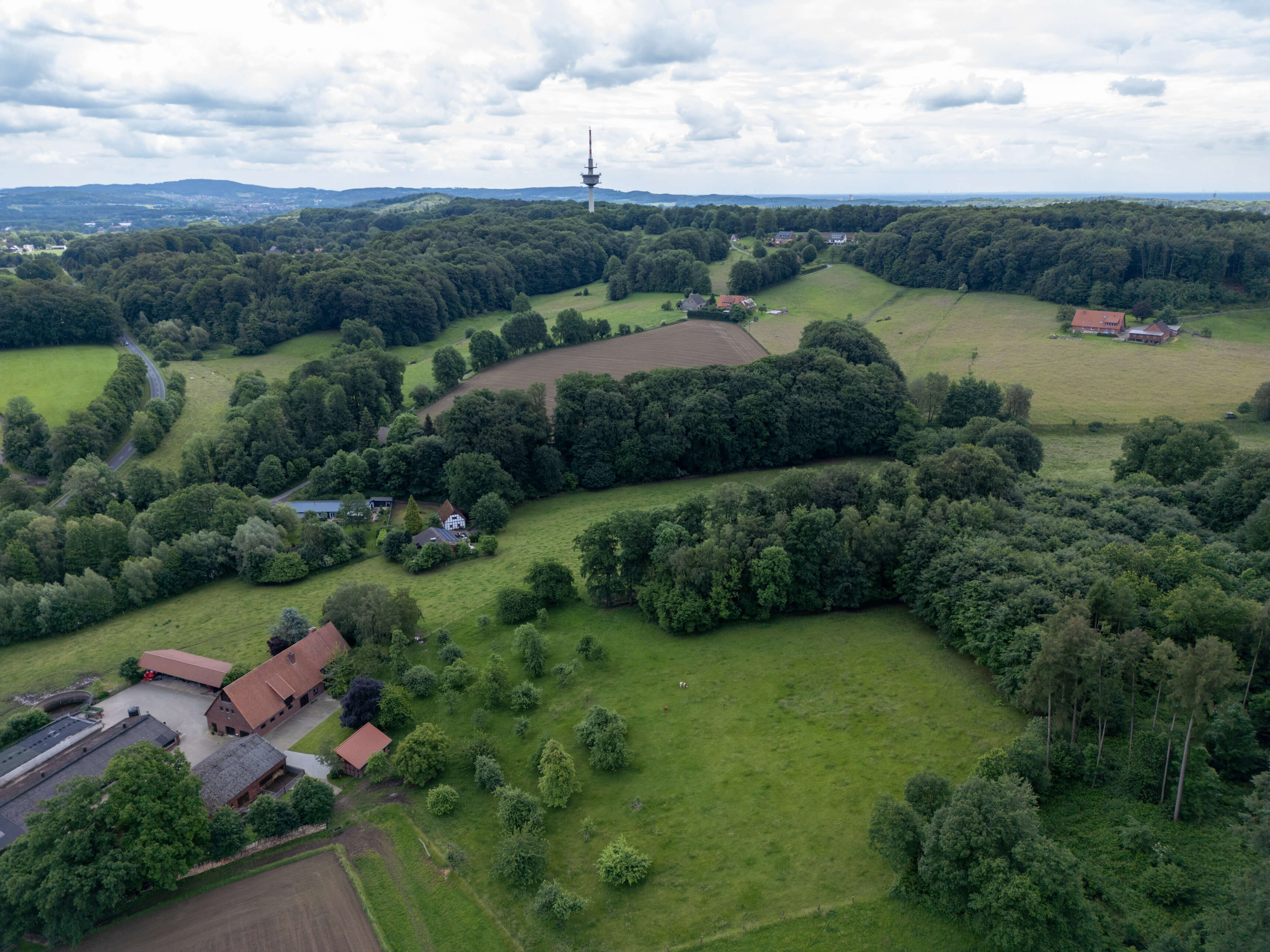 DJI_0011.jpg