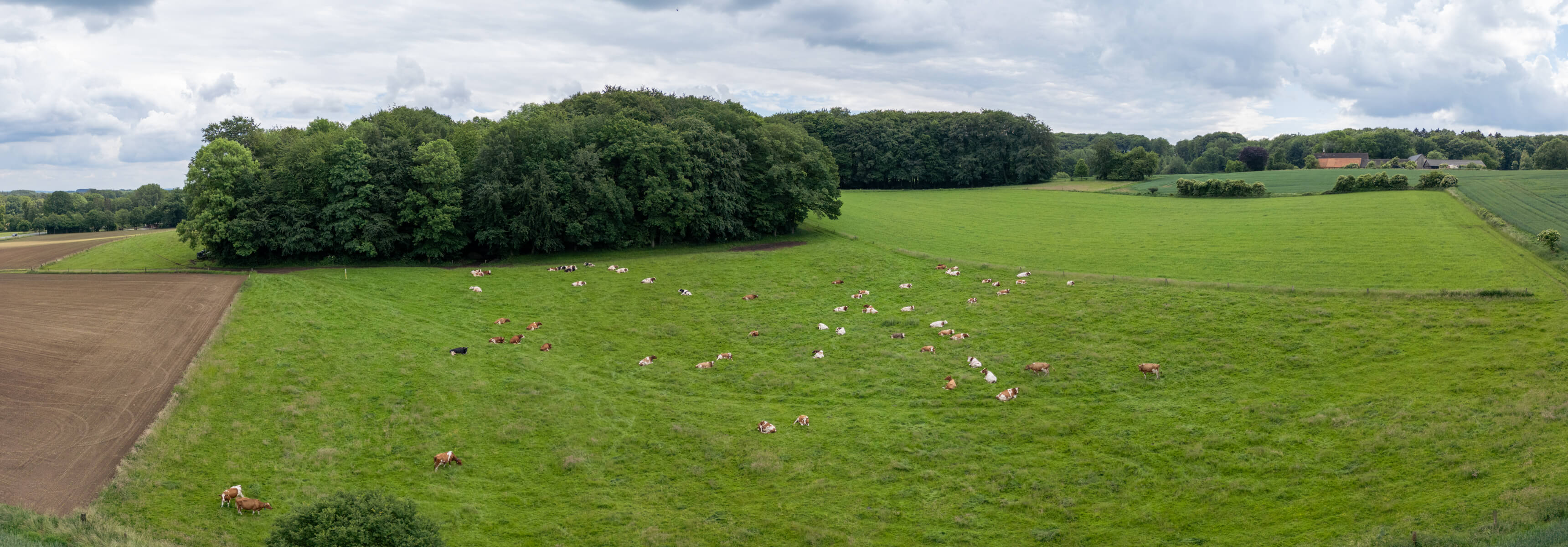 DJI_0042-Pano.jpg