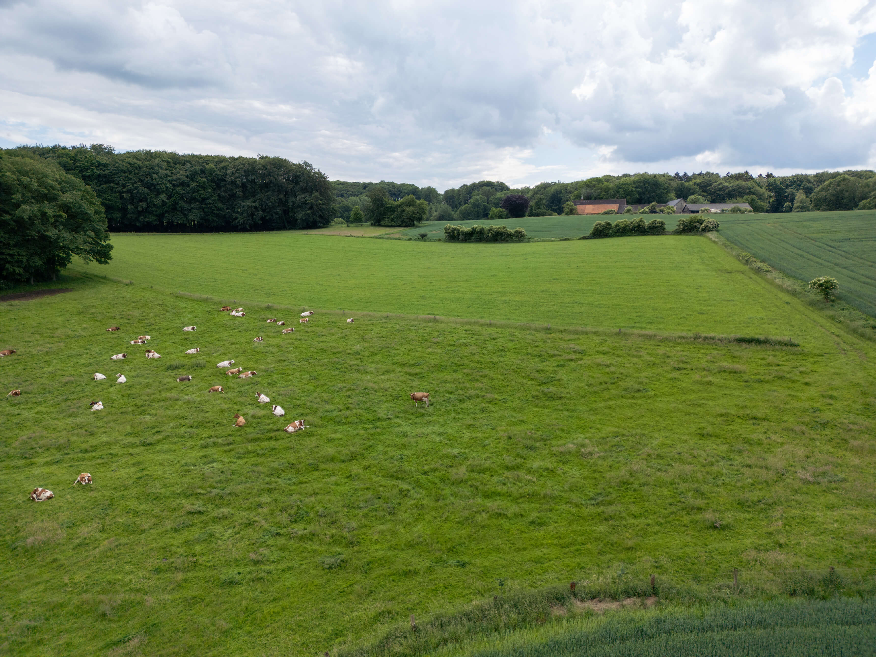 DJI_0042.jpg
