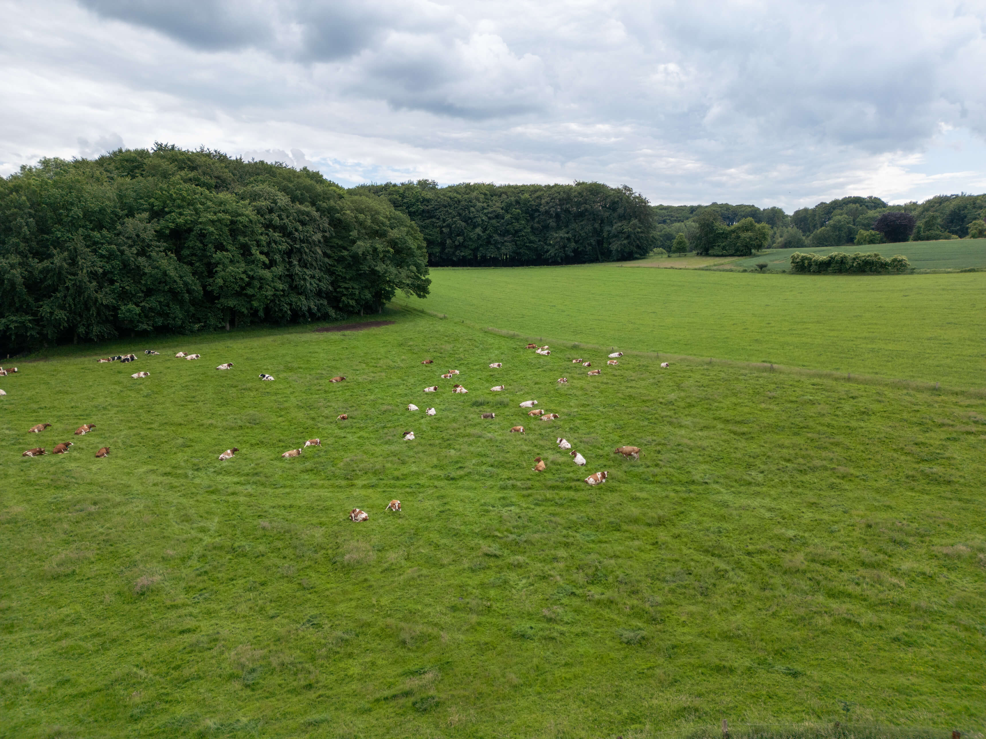 DJI_0043.jpg