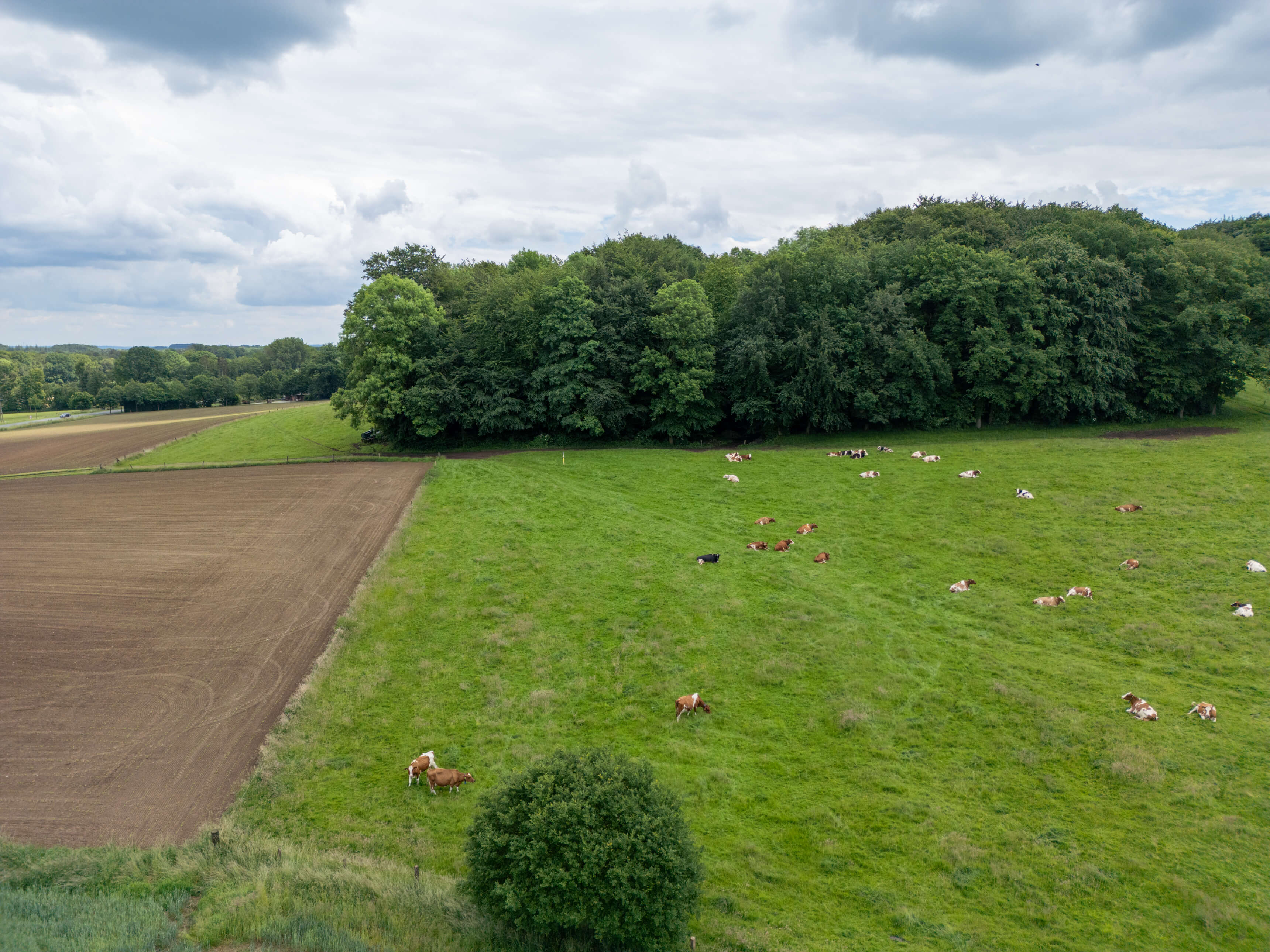 DJI_0044.jpg
