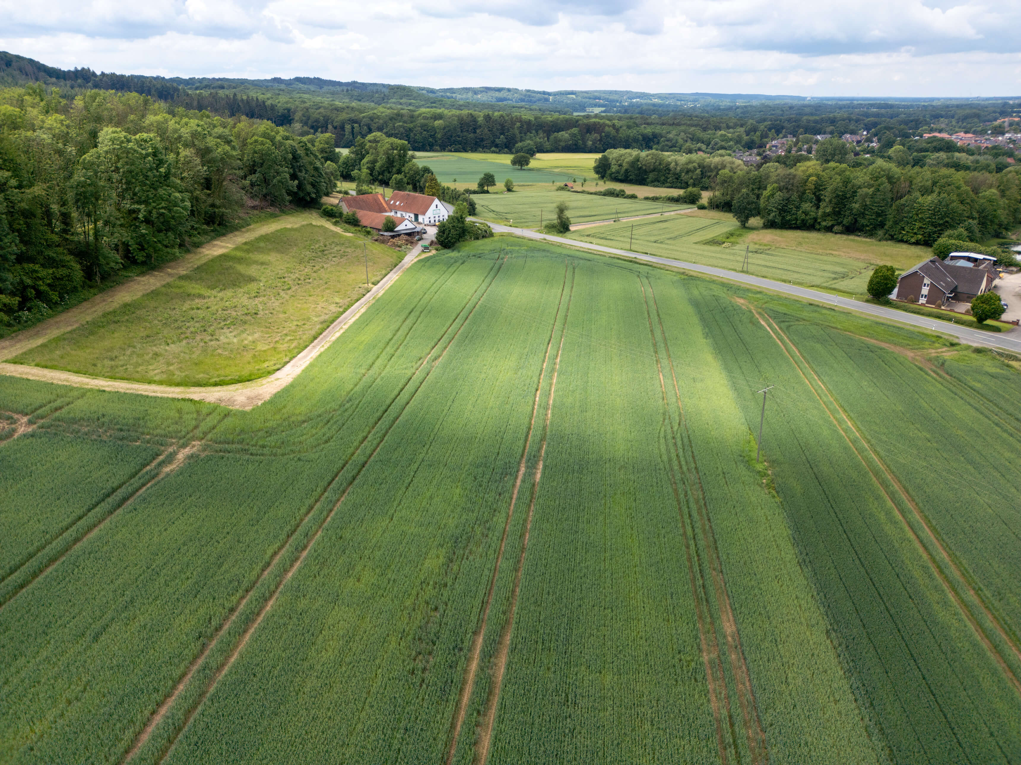 DJI_0045.jpg