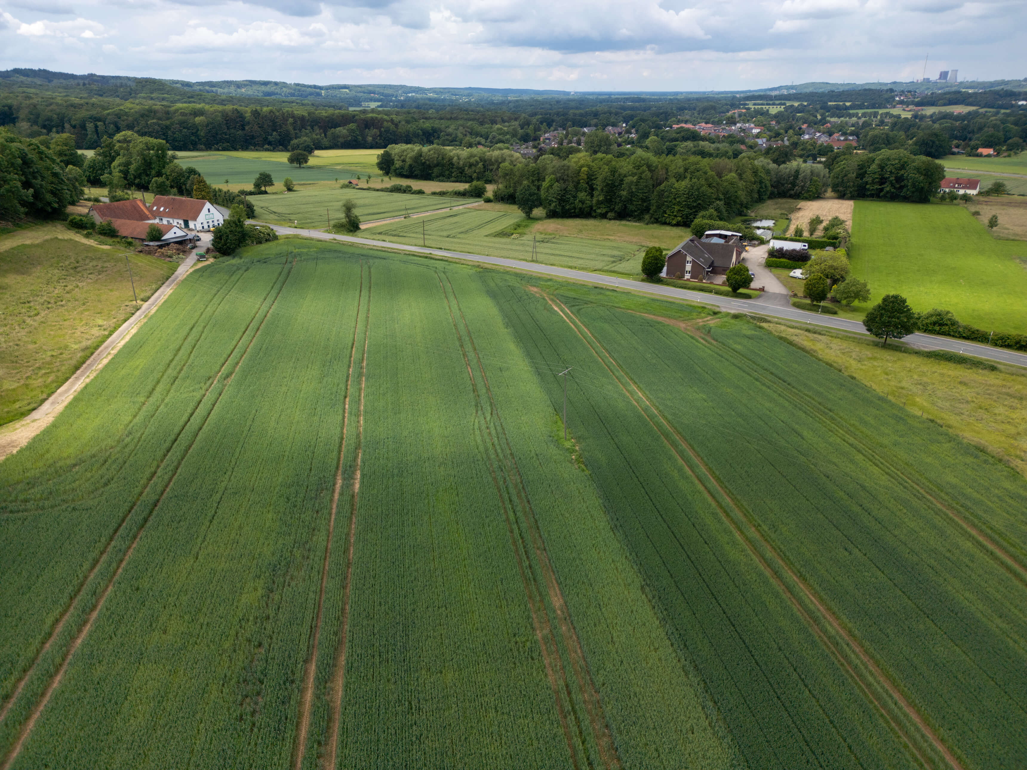 DJI_0046.jpg
