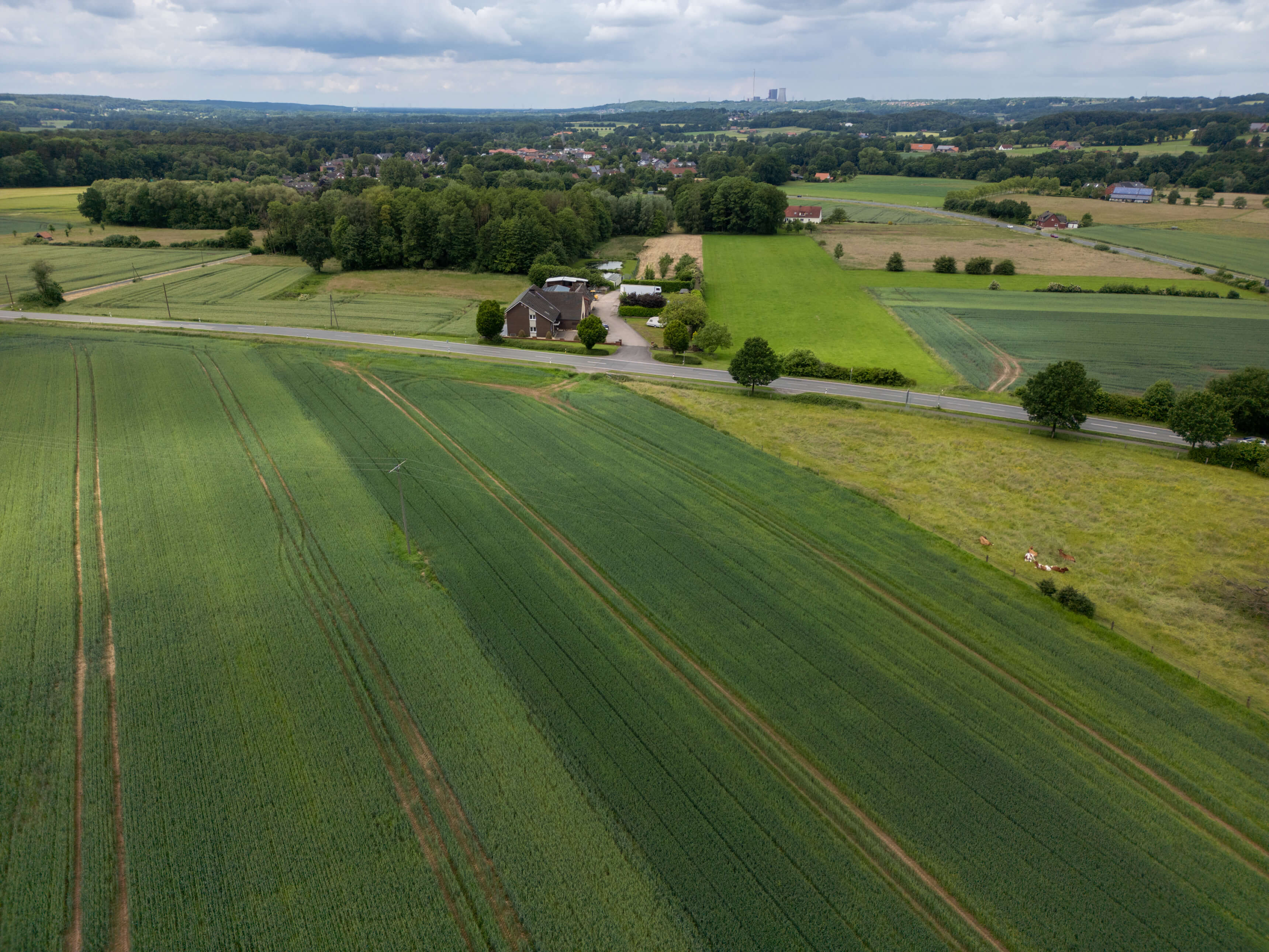 DJI_0047.jpg