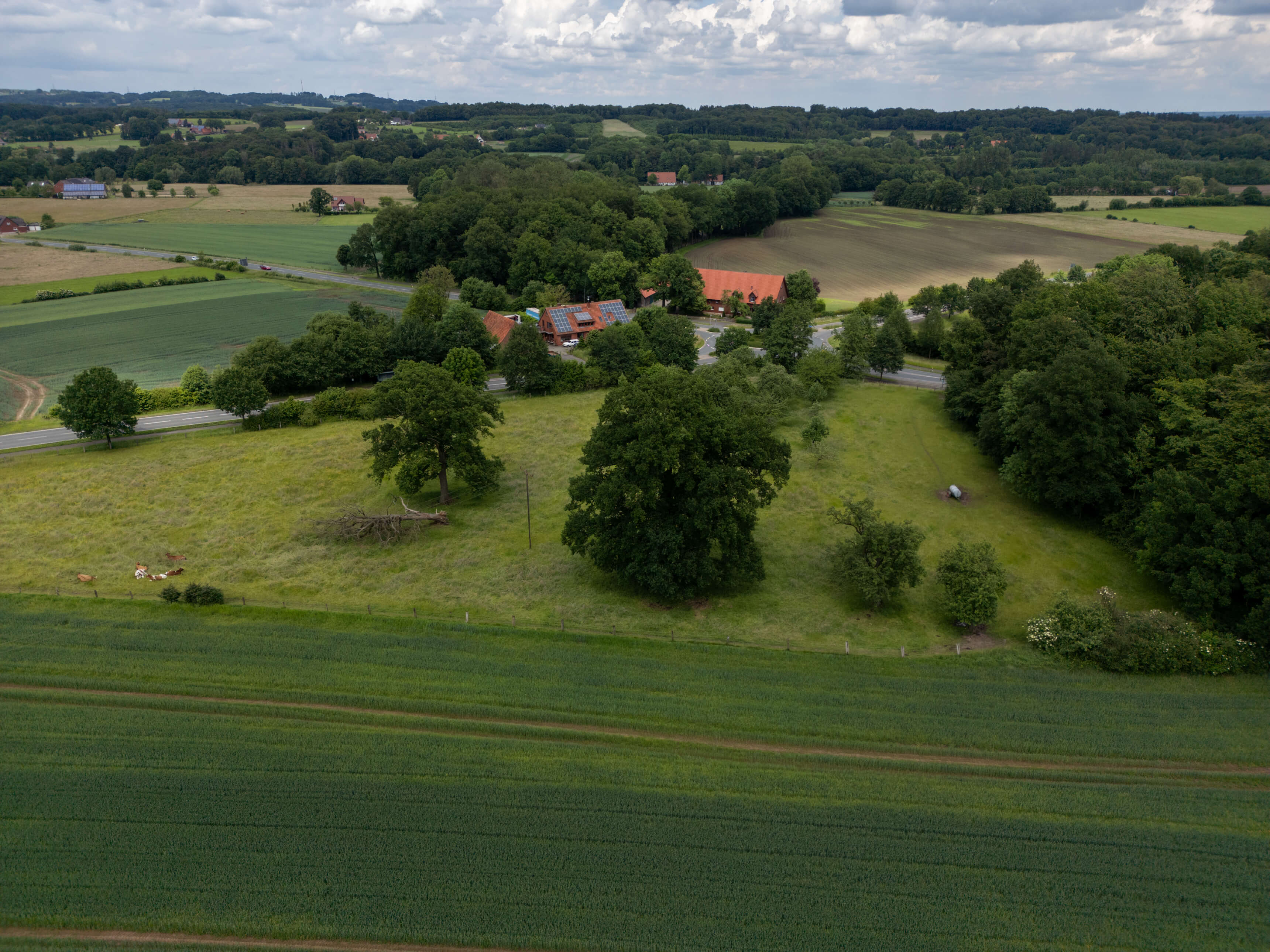 DJI_0048.jpg