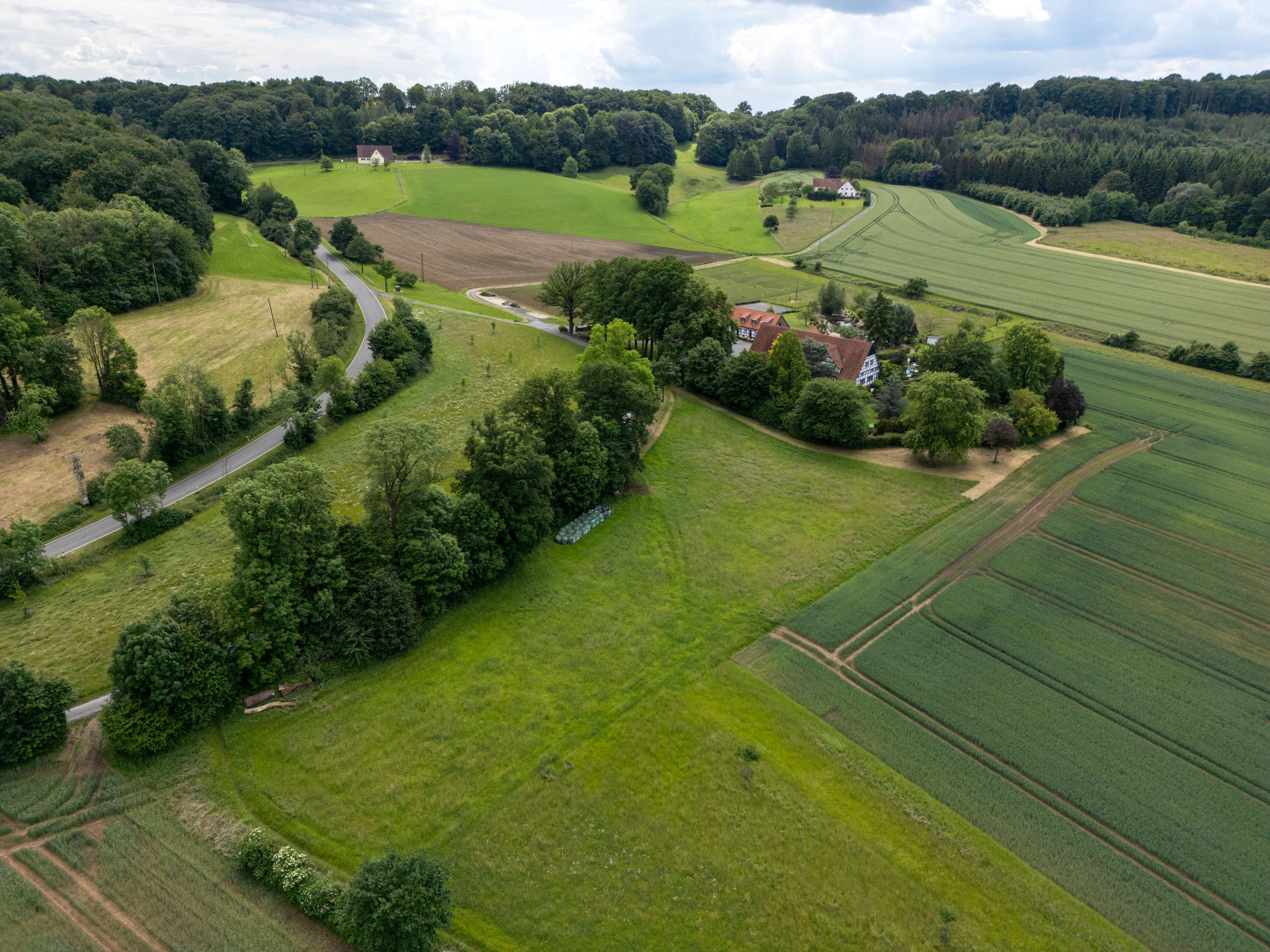 DJI_0050.jpg