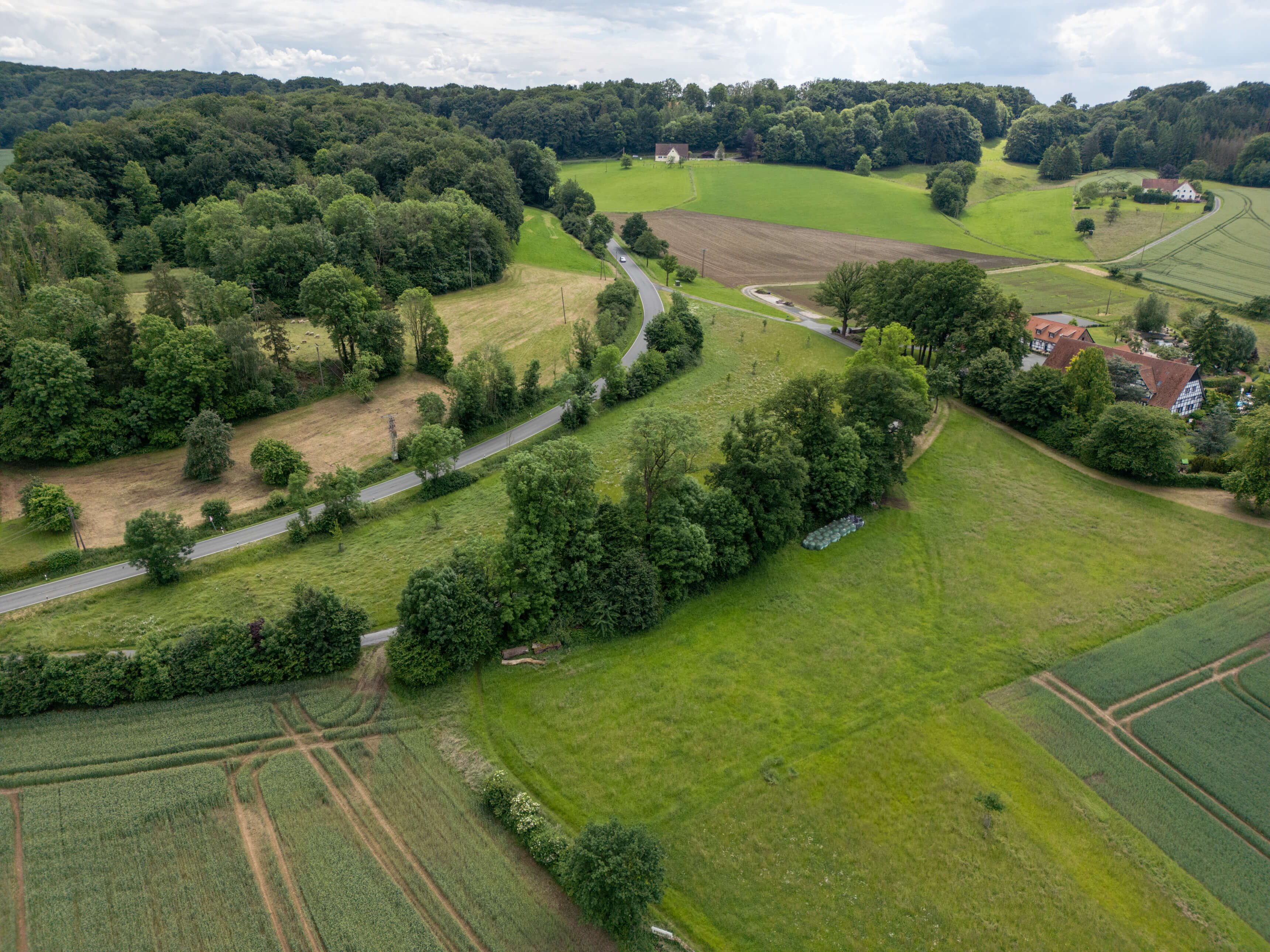 DJI_0051.jpg
