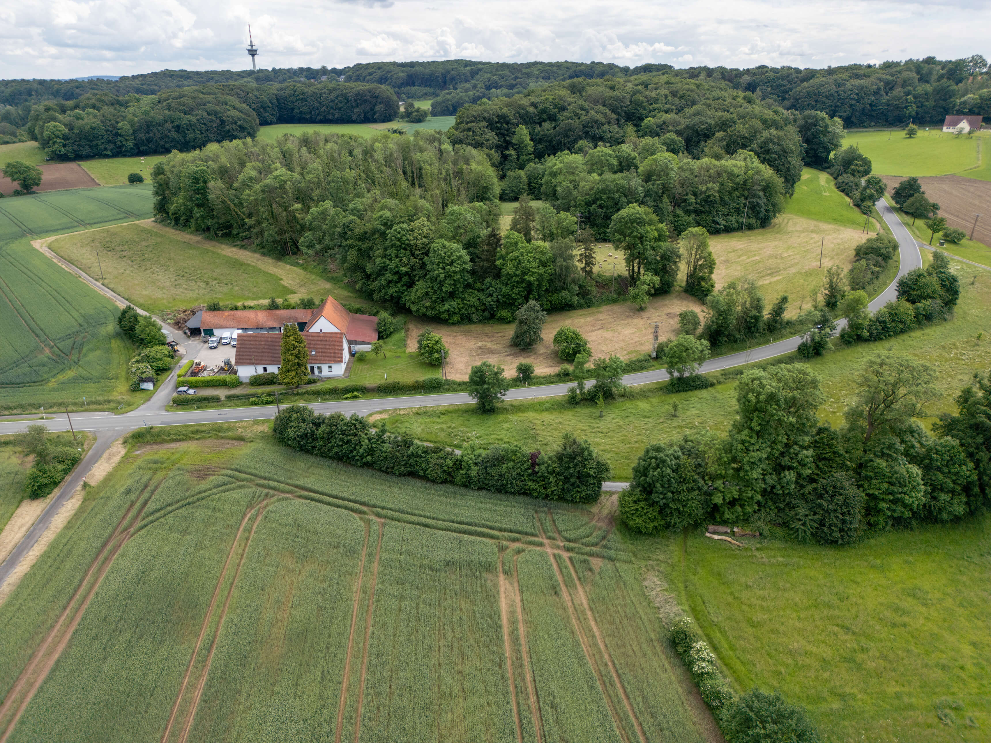 DJI_0052.jpg