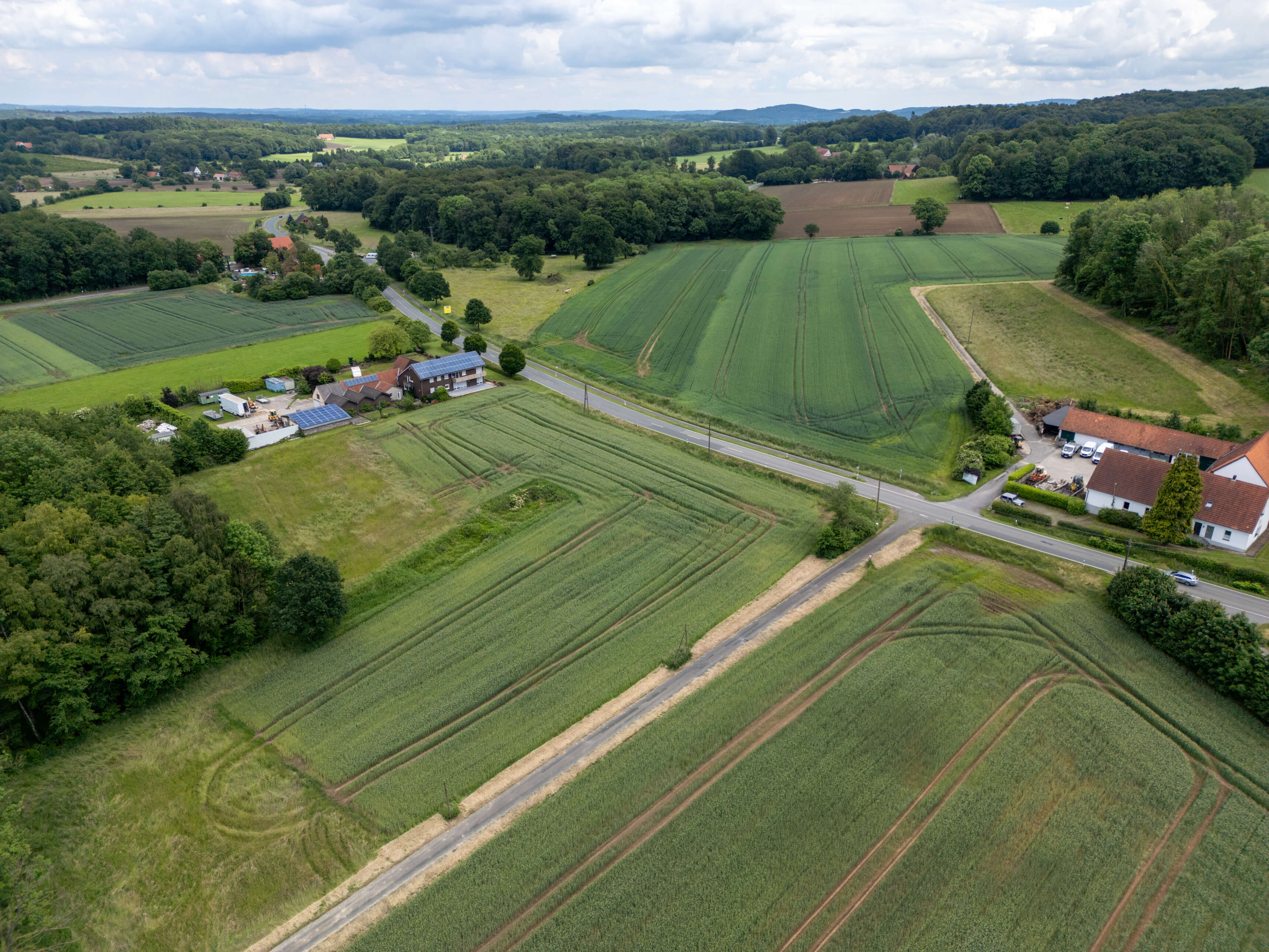 DJI_0053.jpg