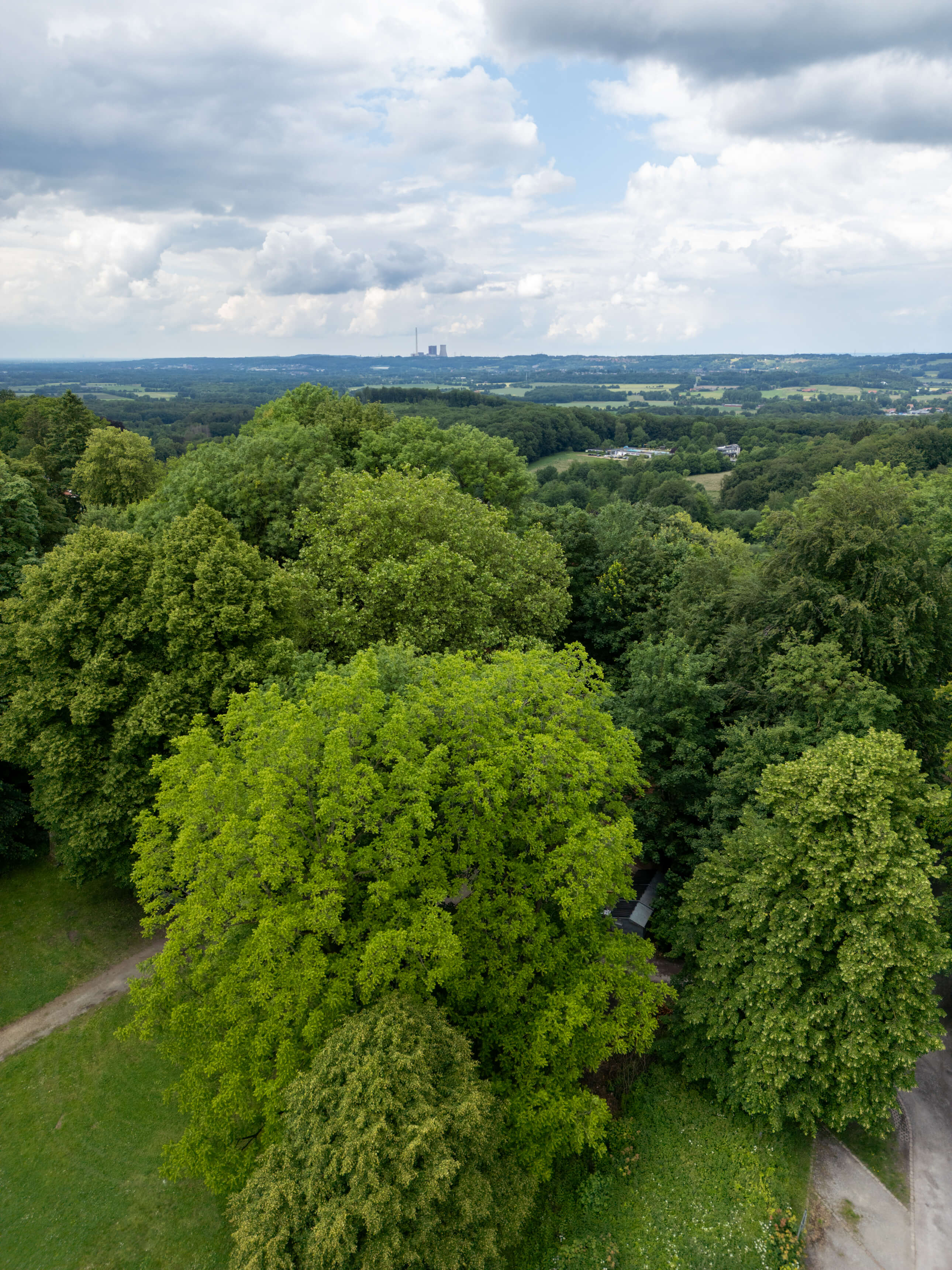 DJI_0058.jpg