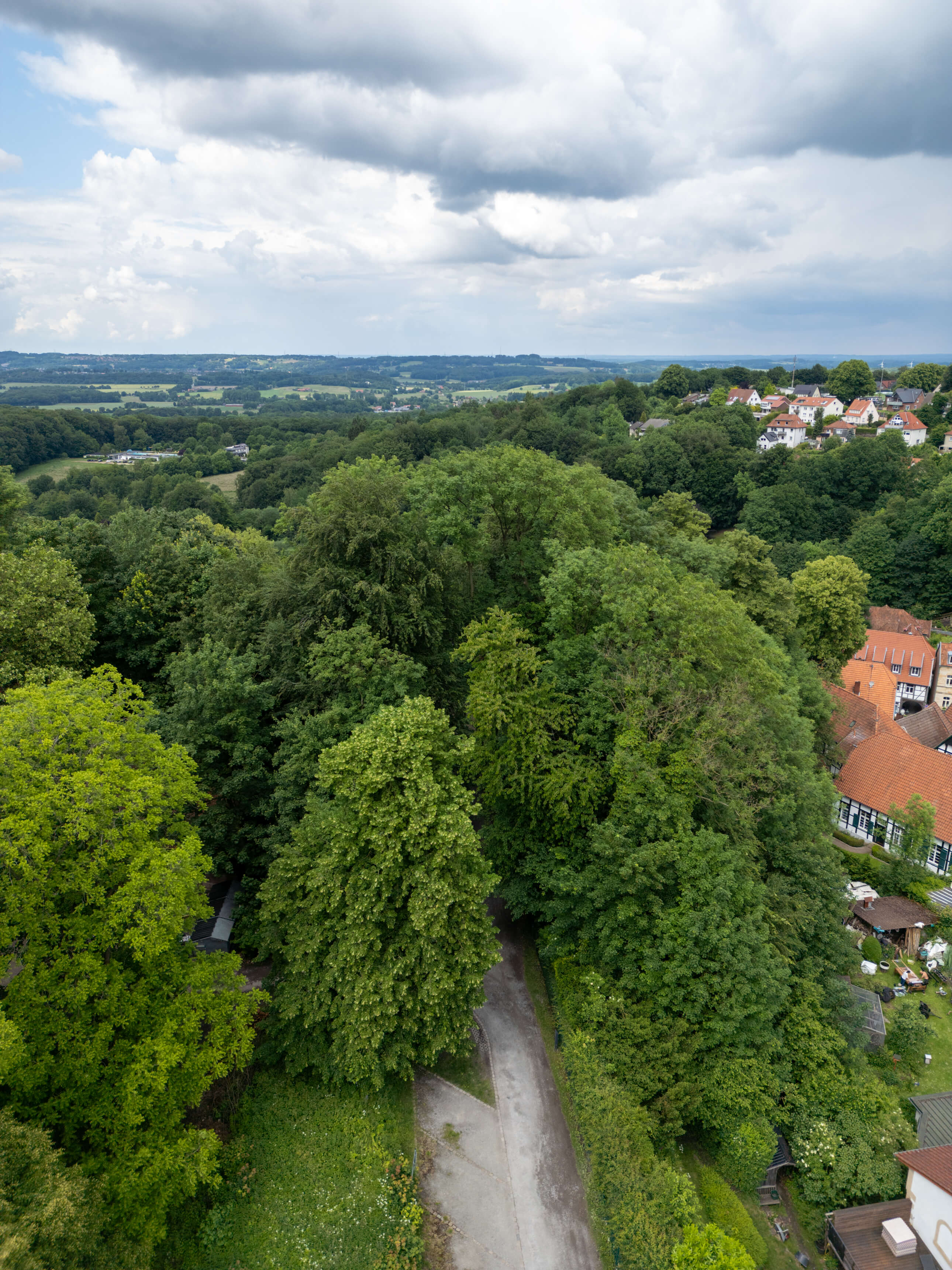 DJI_0059.jpg