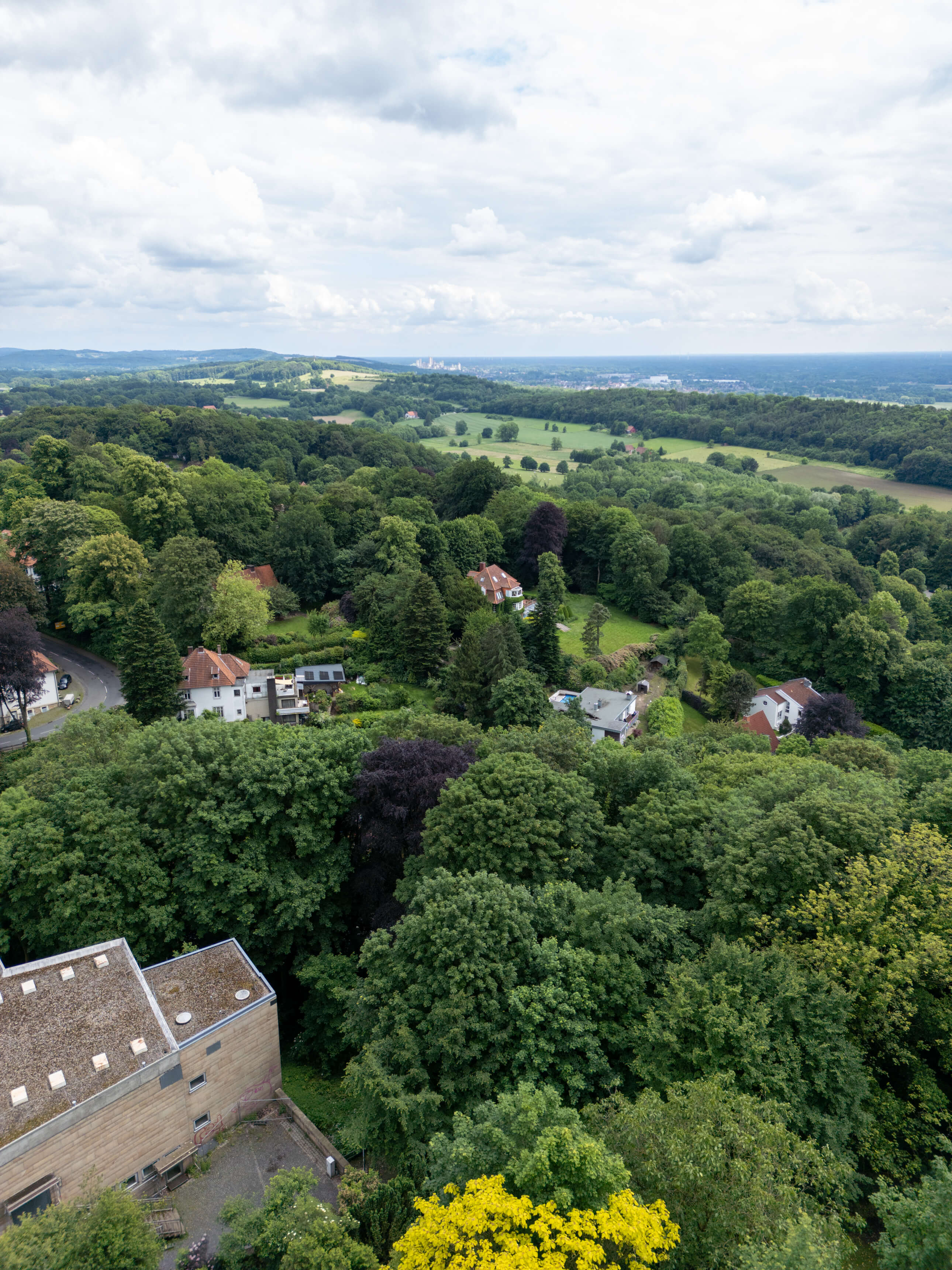 DJI_0065.jpg