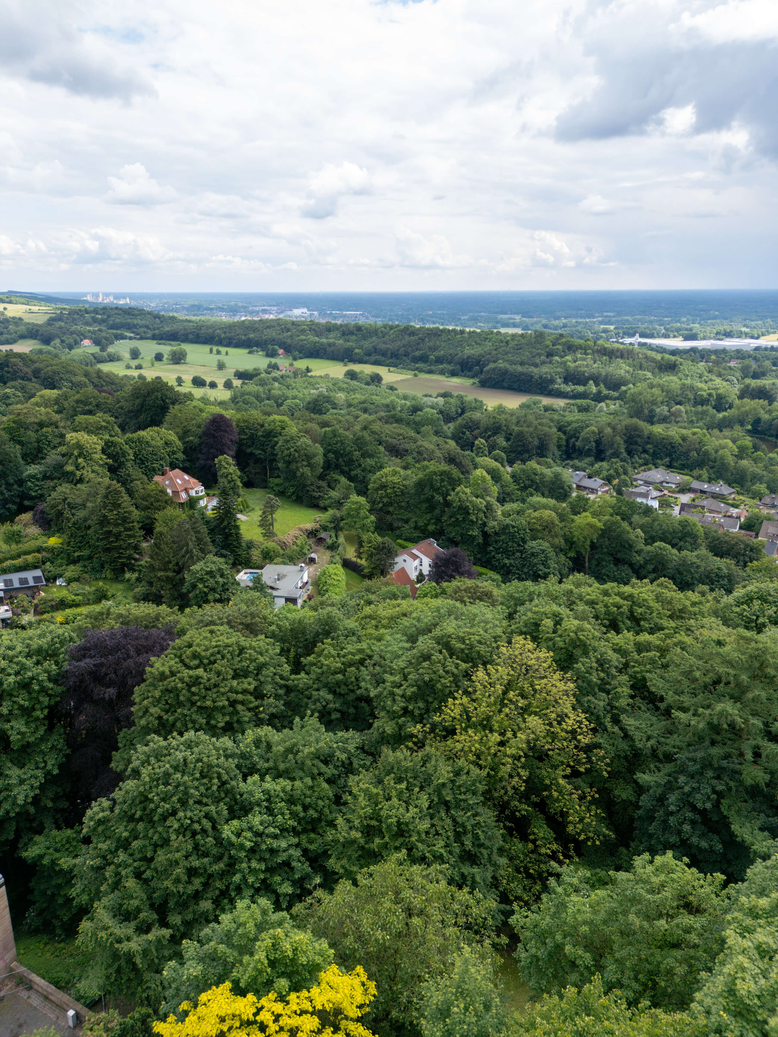 DJI_0066.jpg