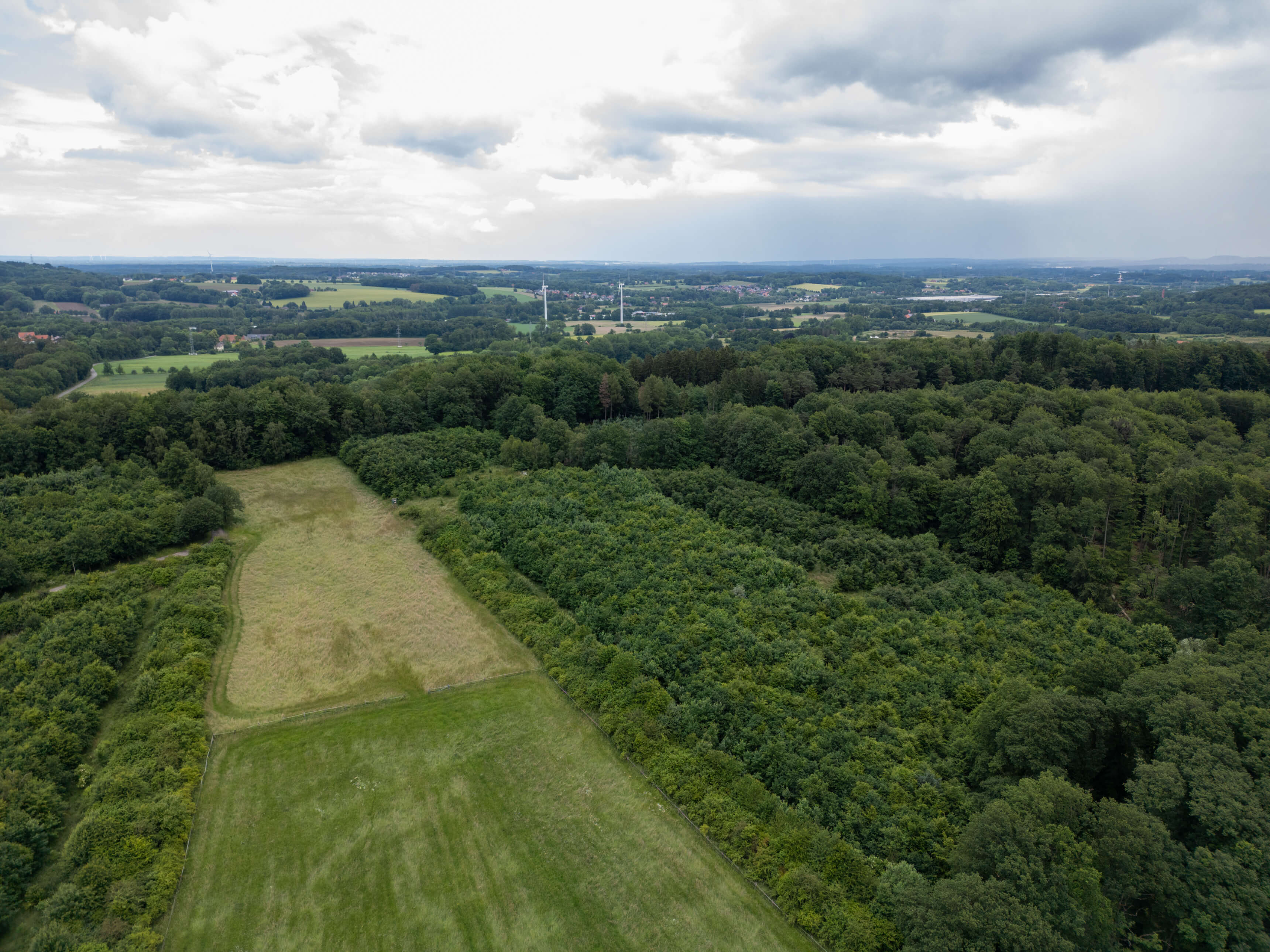 DJI_0097.jpg