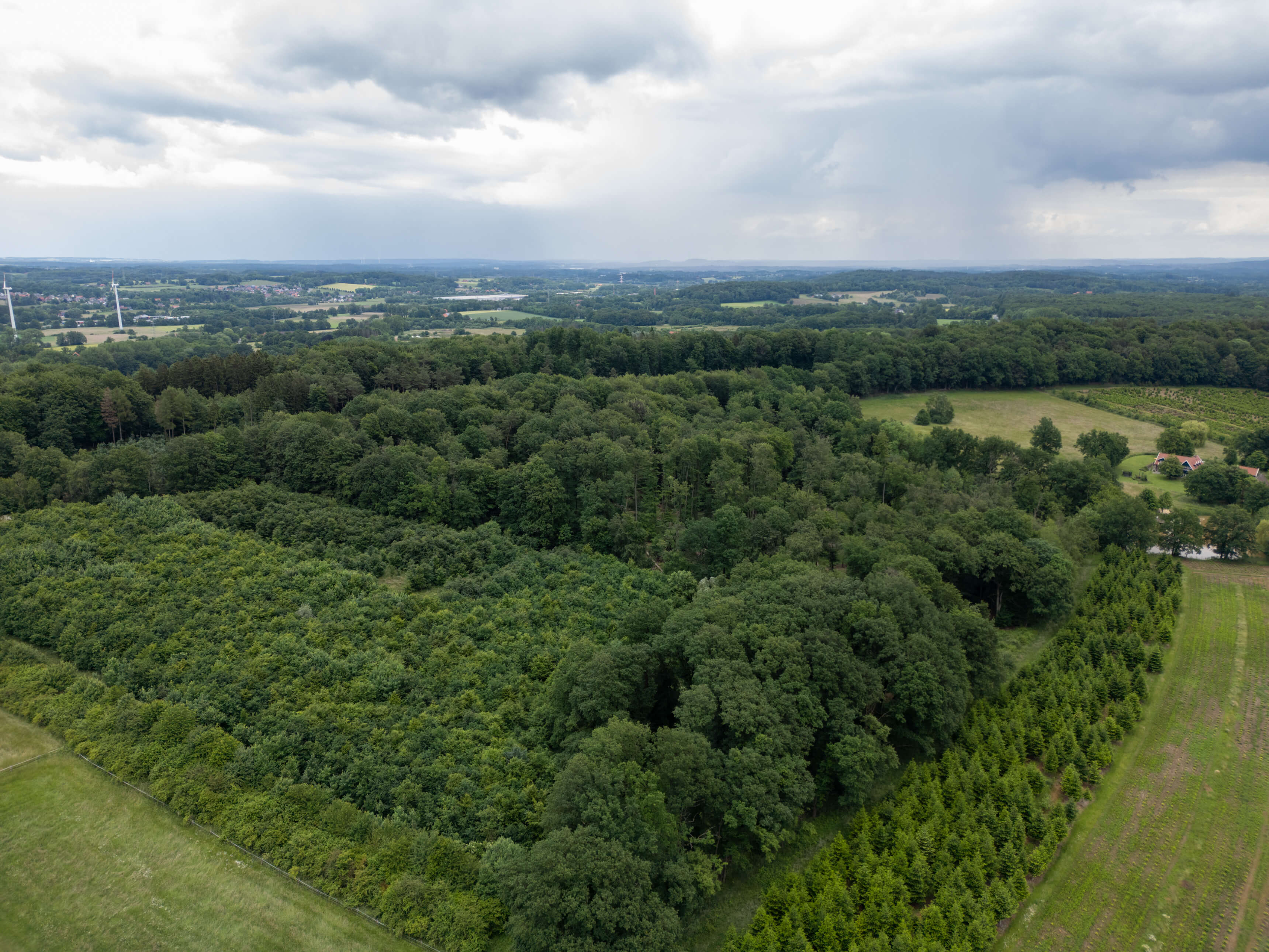 DJI_0098.jpg