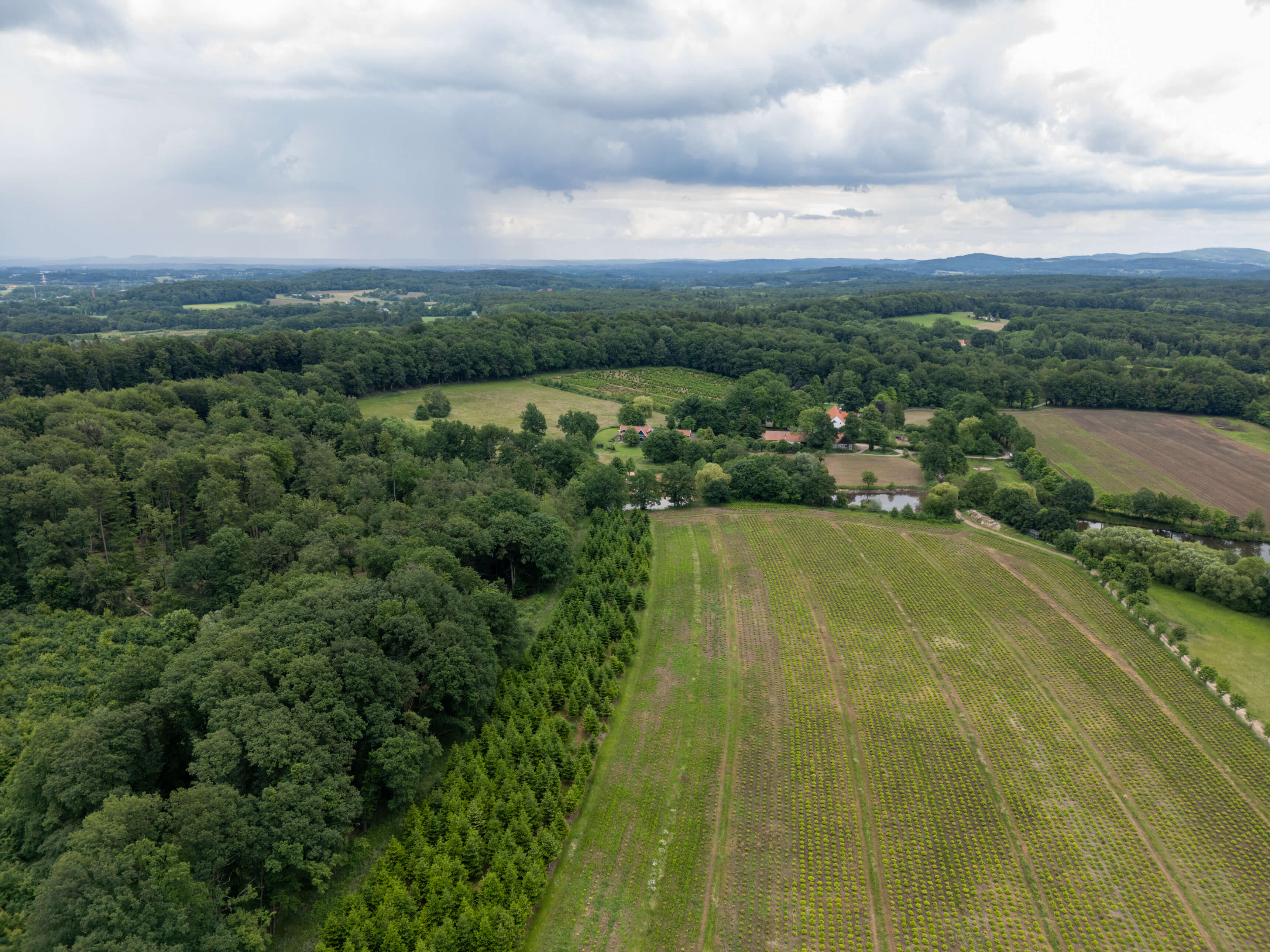 DJI_0099.jpg