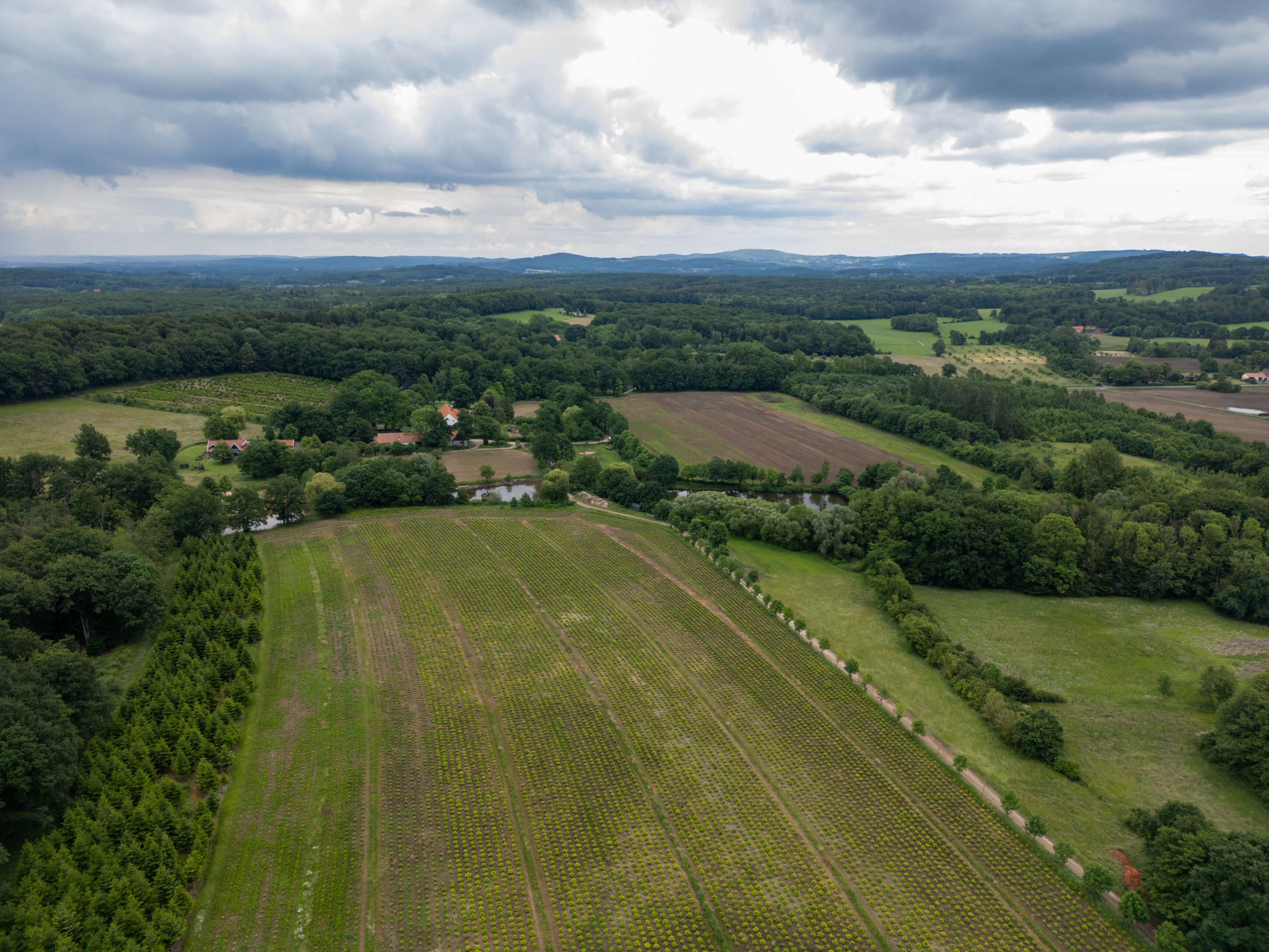 DJI_0100.jpg