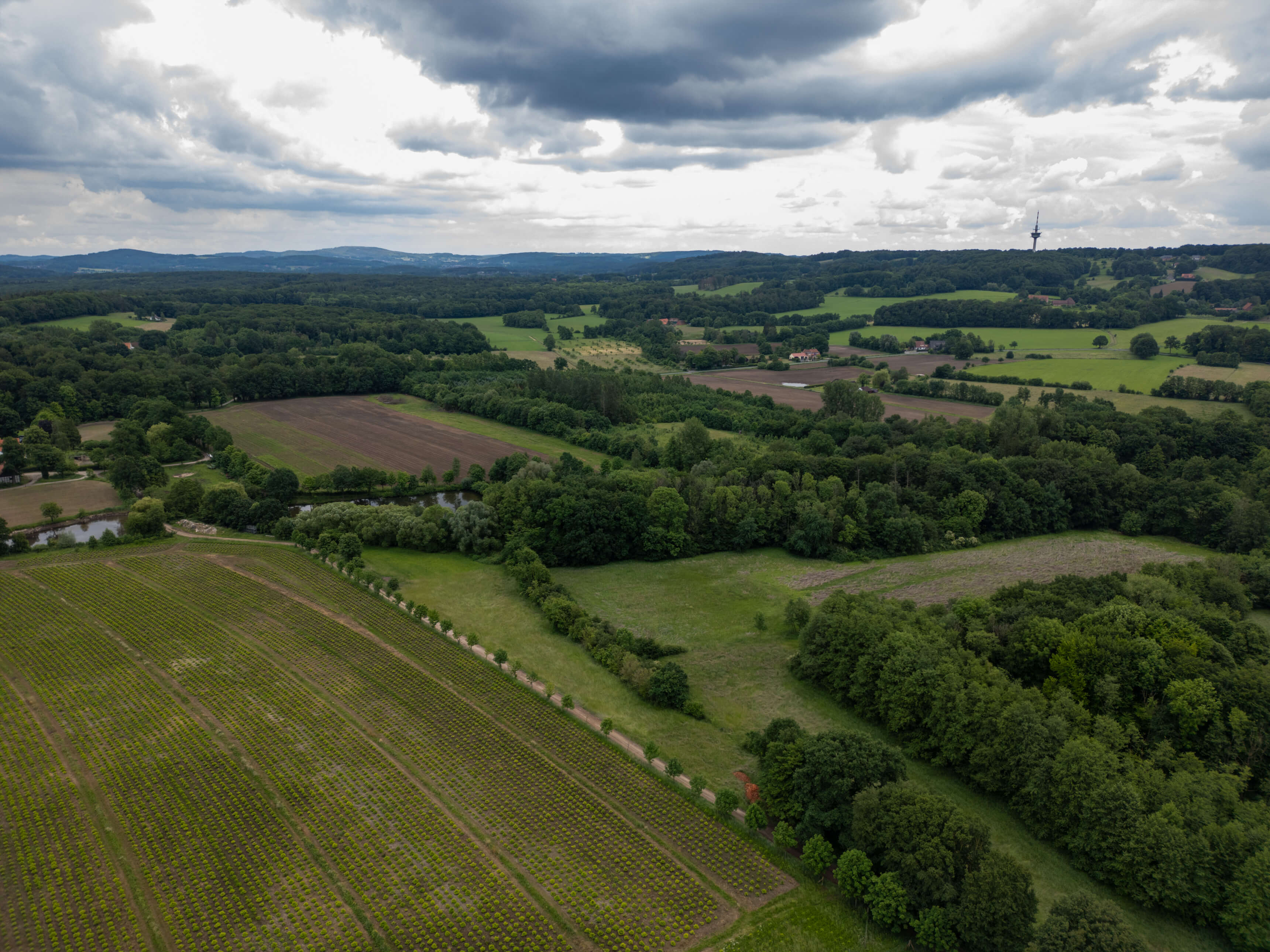 DJI_0101.jpg