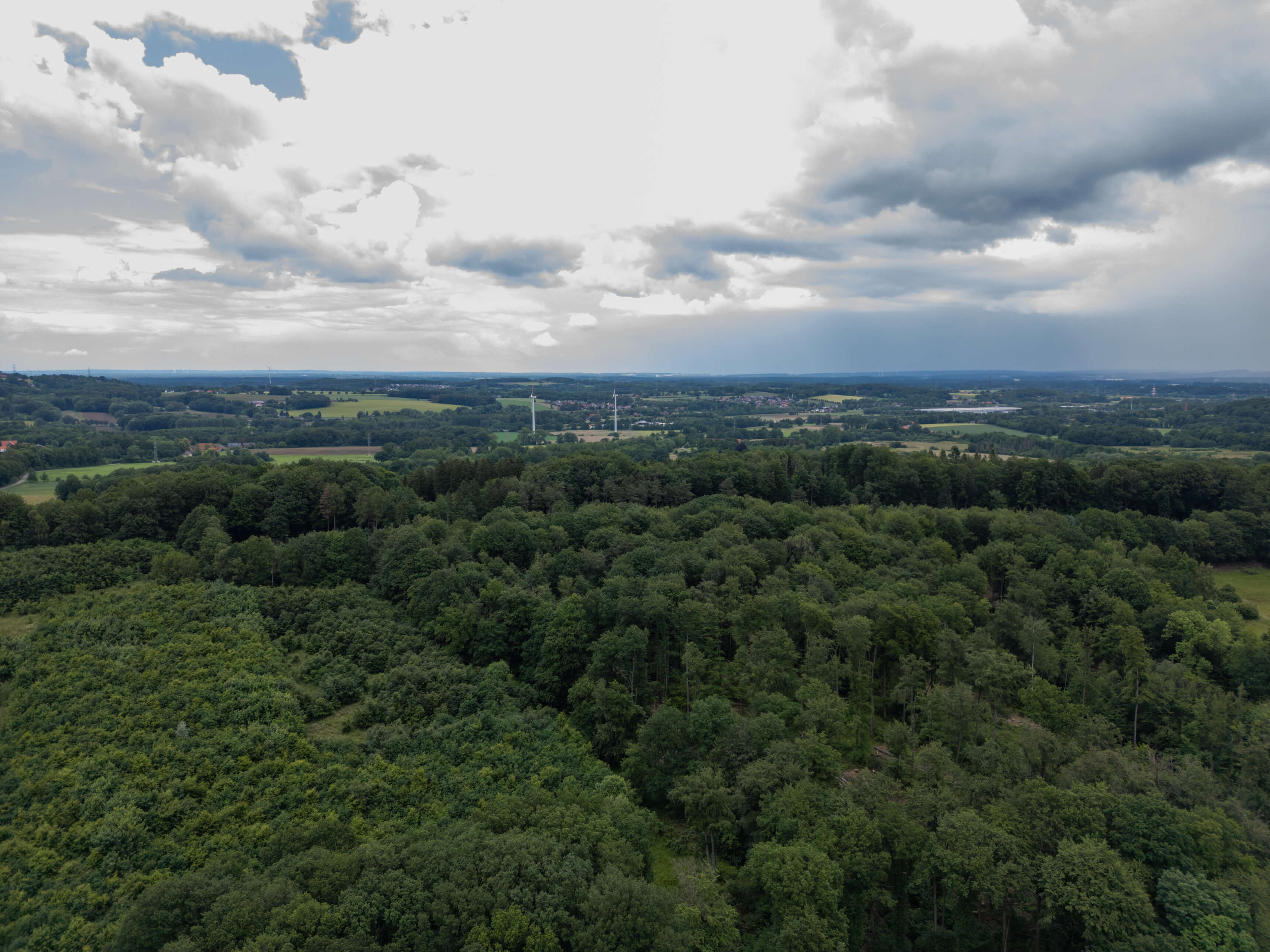 DJI_0102.jpg