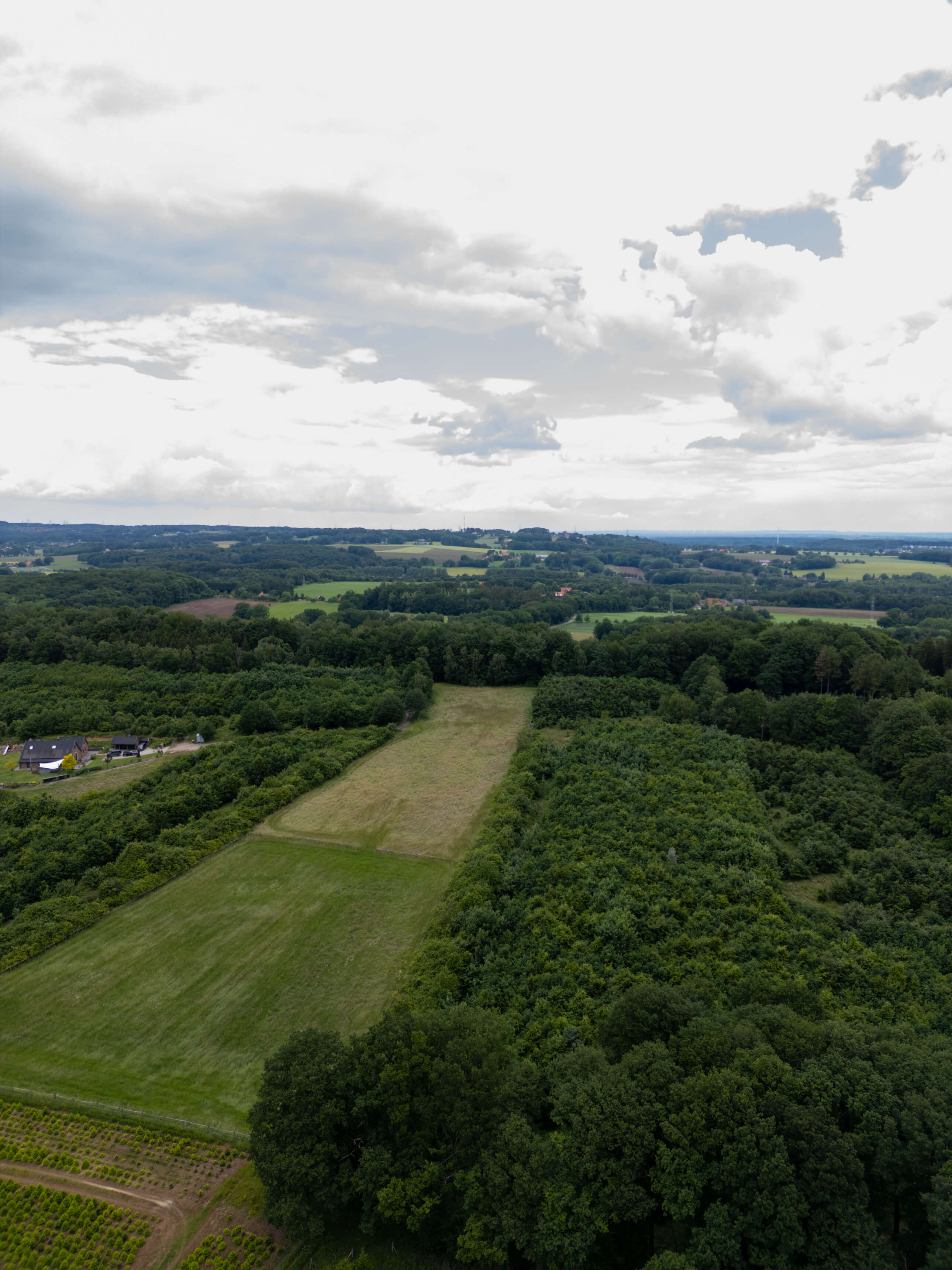 DJI_0103.jpg