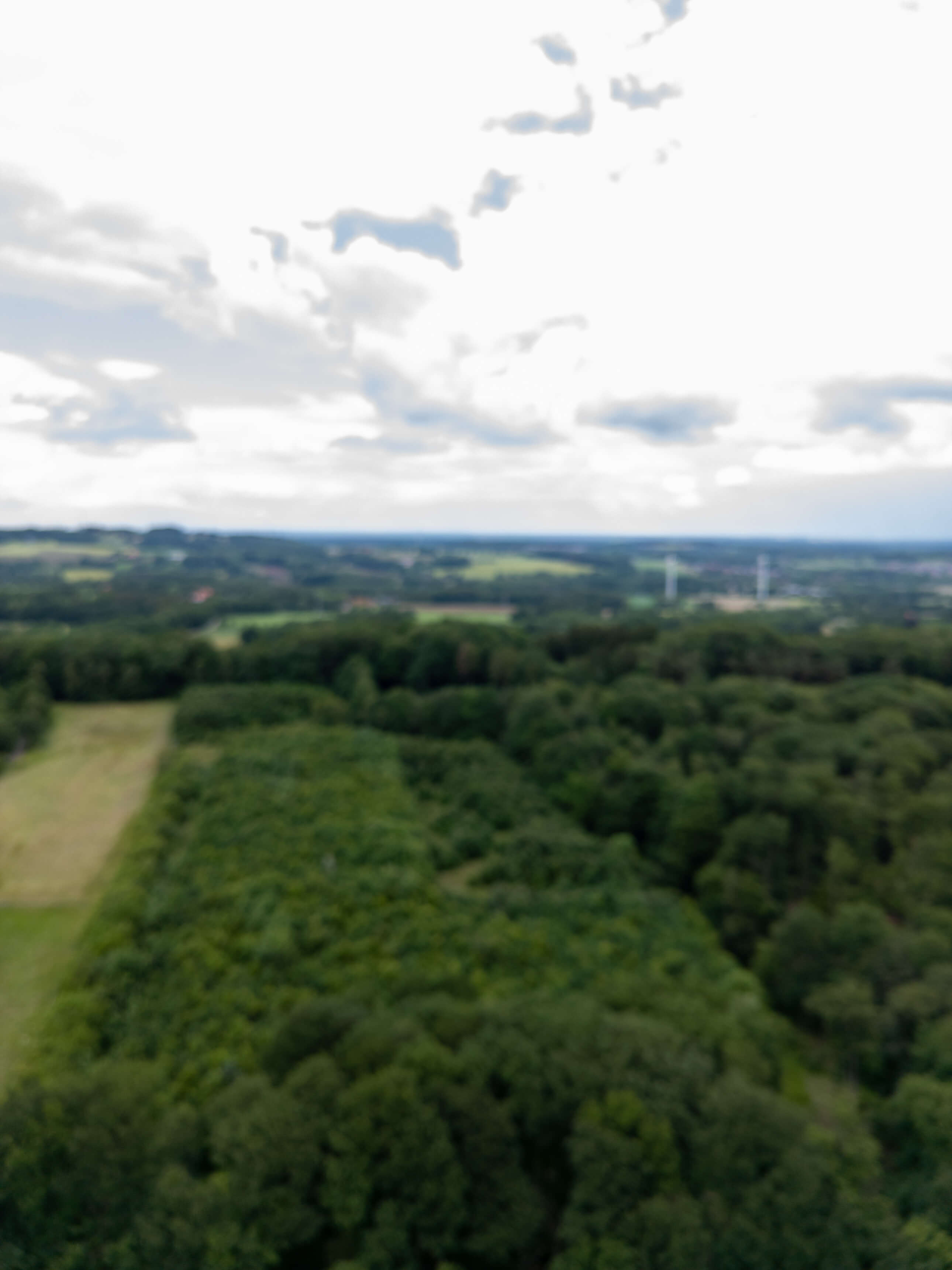 DJI_0105.jpg