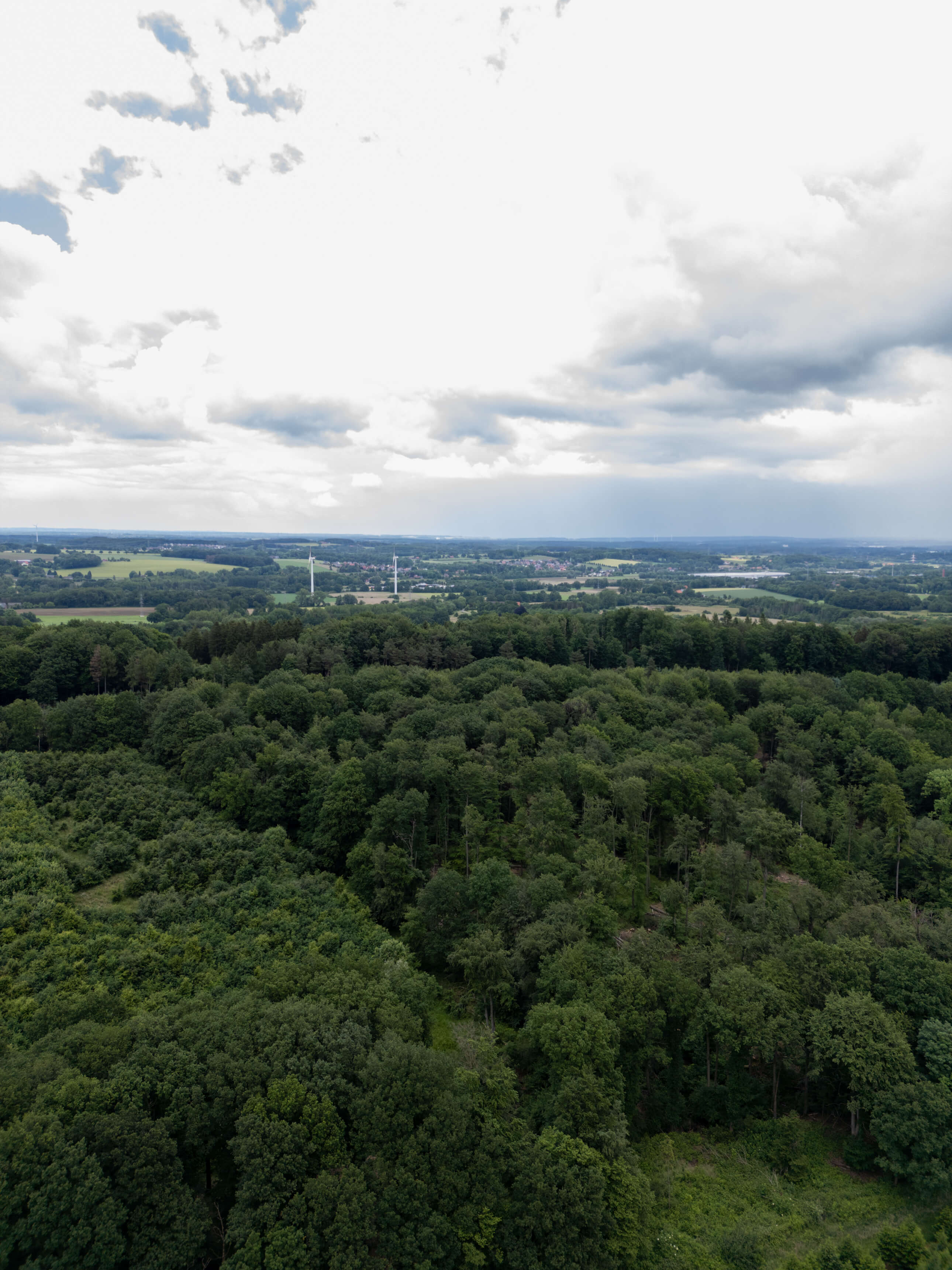 DJI_0106.jpg
