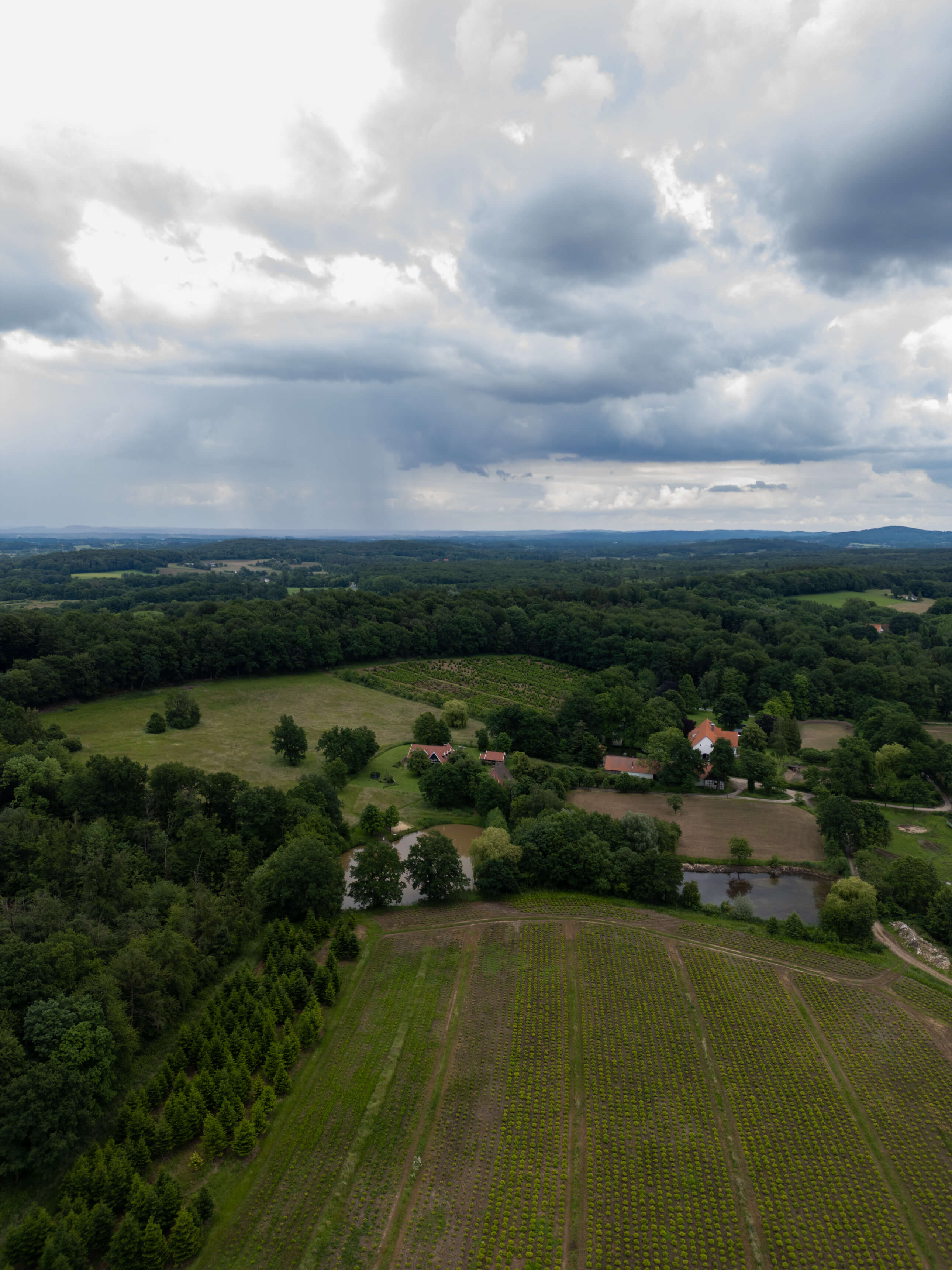DJI_0109.jpg