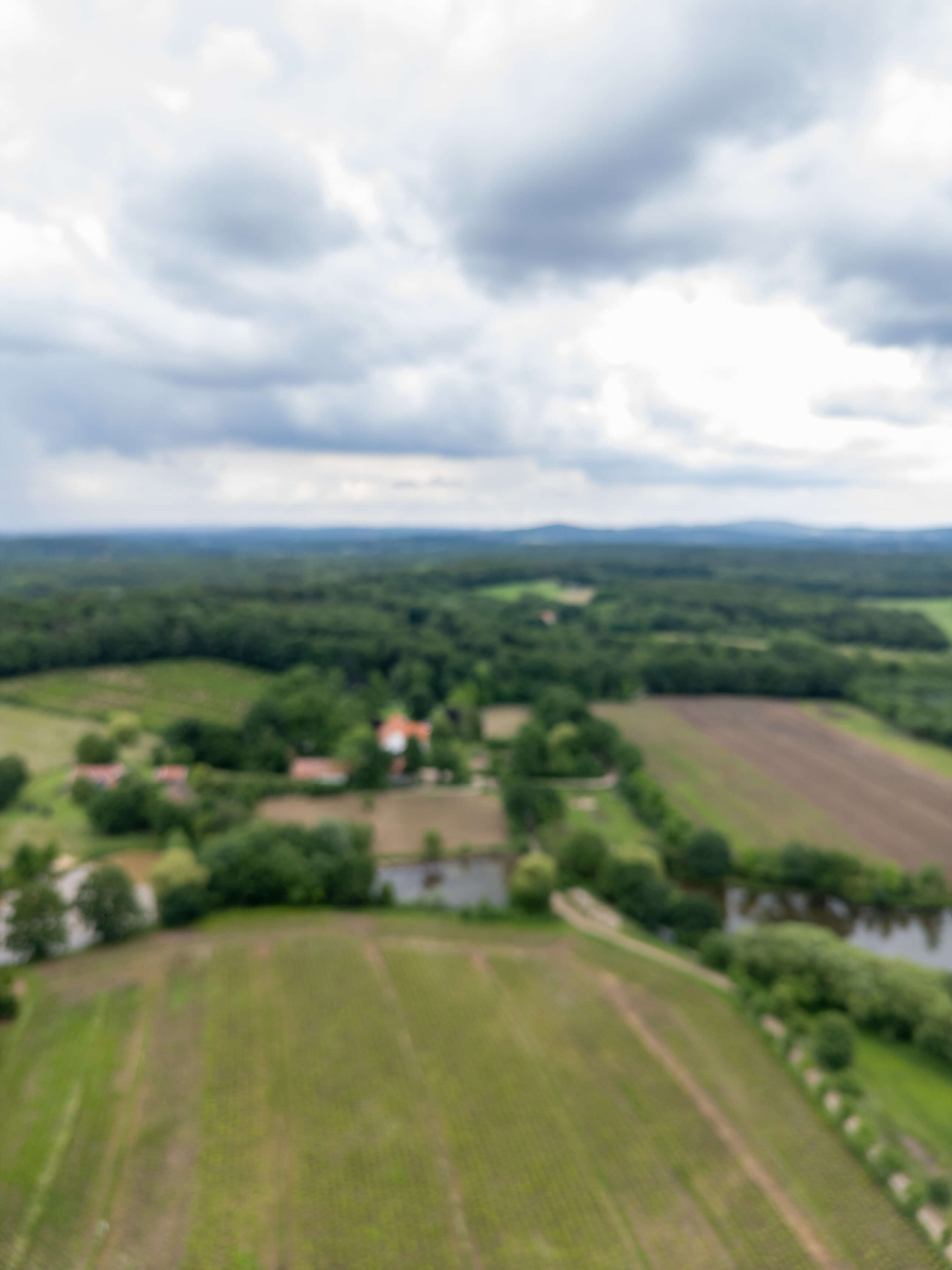 DJI_0110.jpg