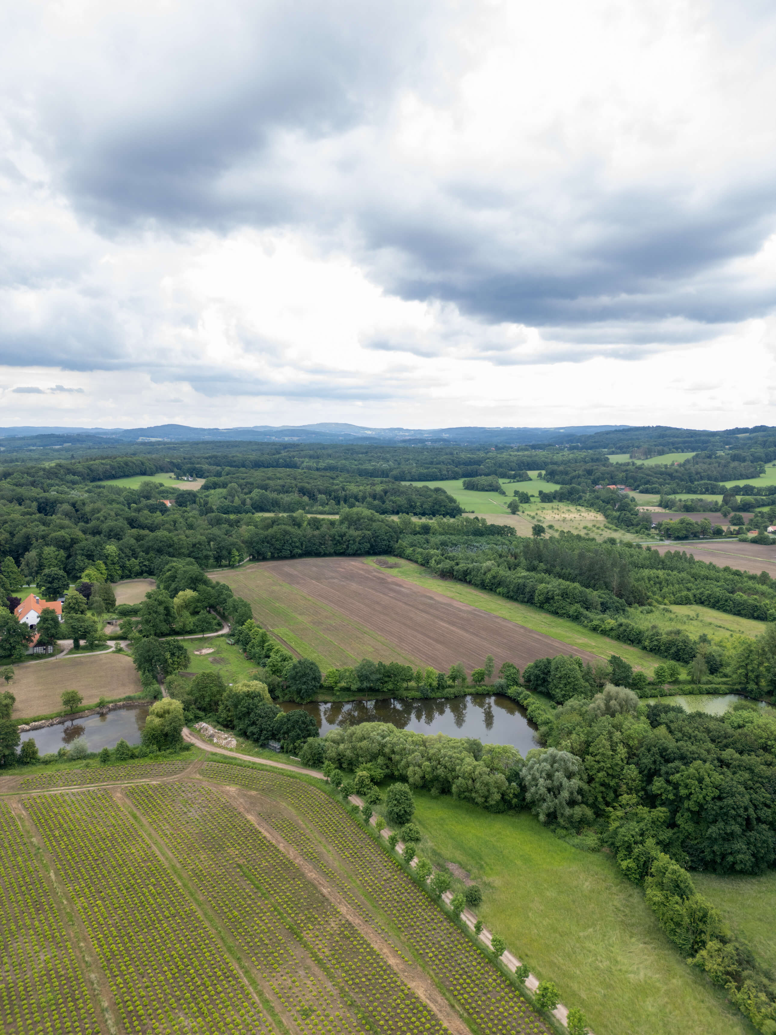 DJI_0111.jpg