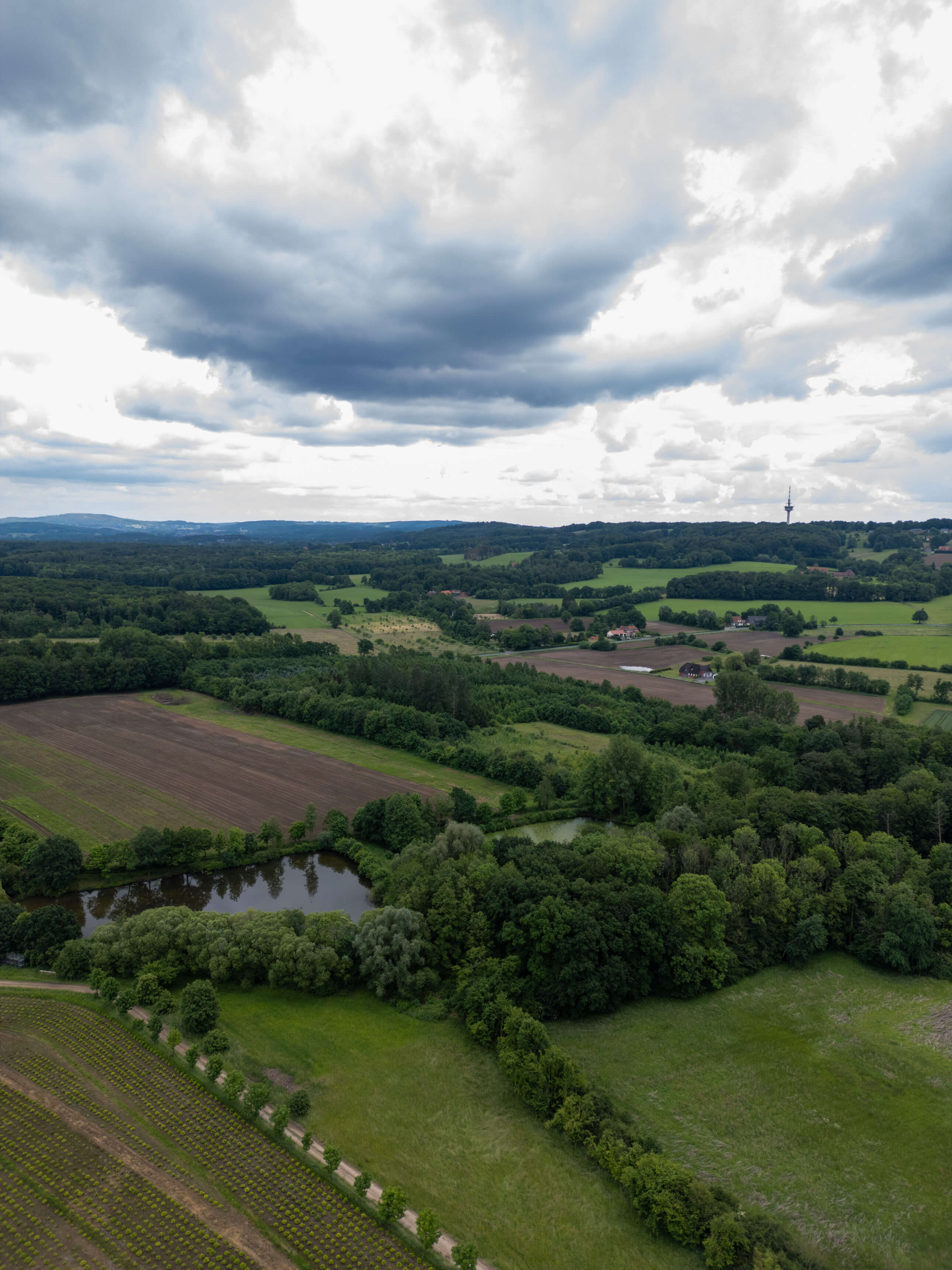 DJI_0112.jpg