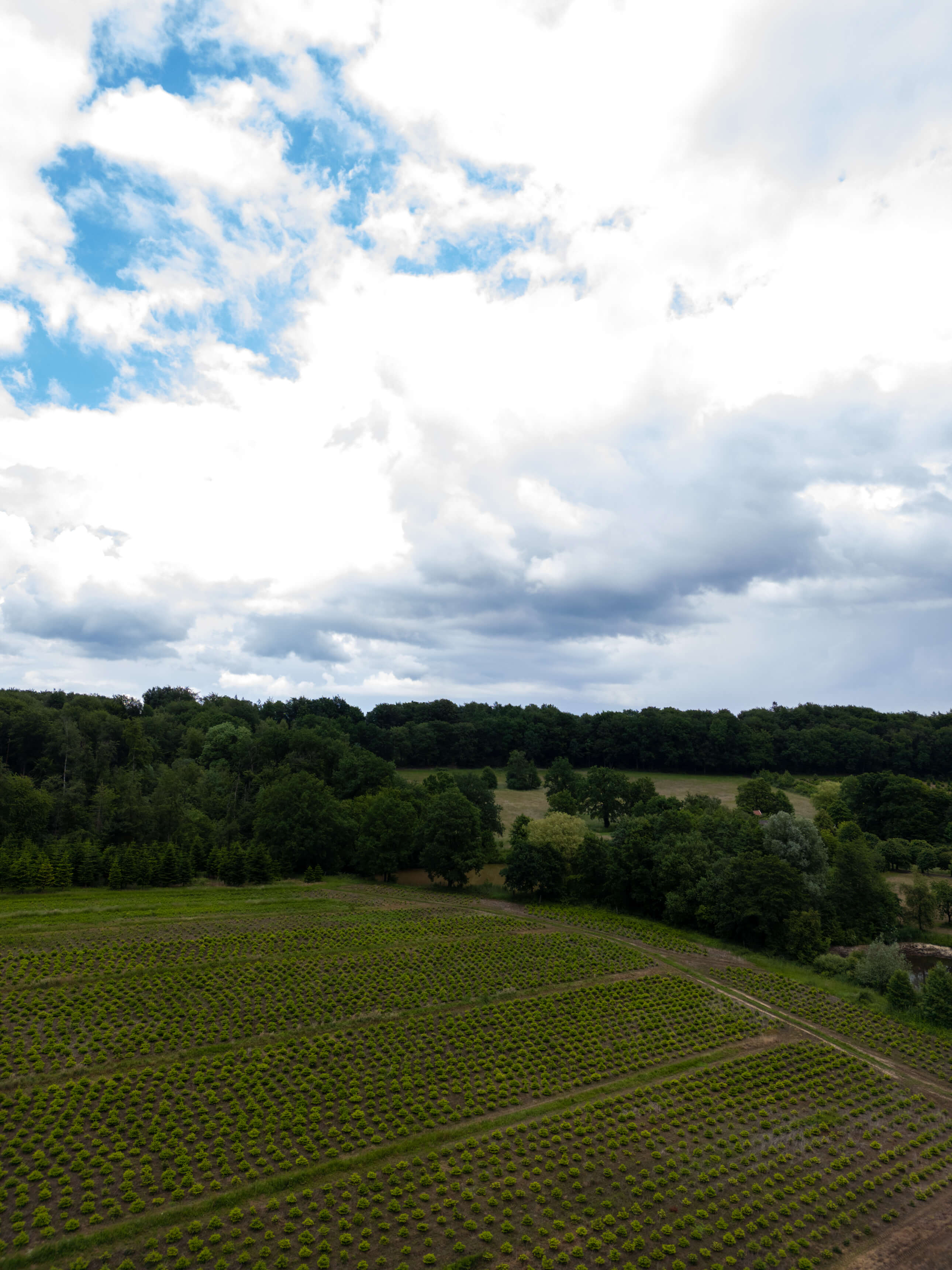 DJI_0113.jpg
