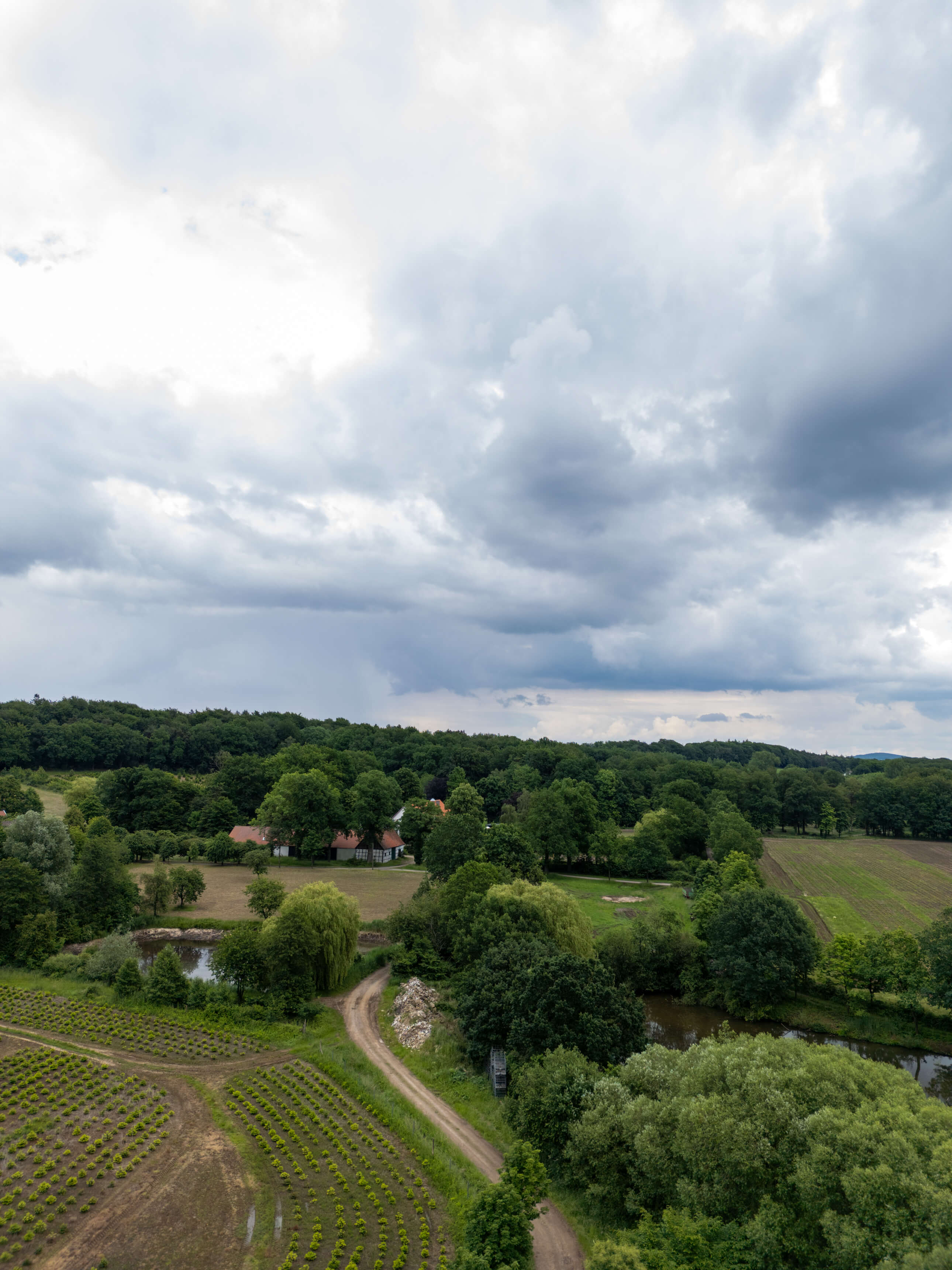 DJI_0115.jpg
